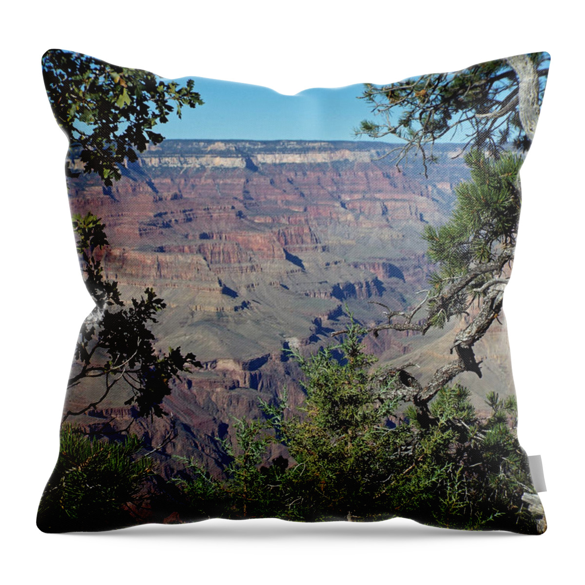  Throw Pillow featuring the digital art Grand Canyon 5 by Steve Breslow