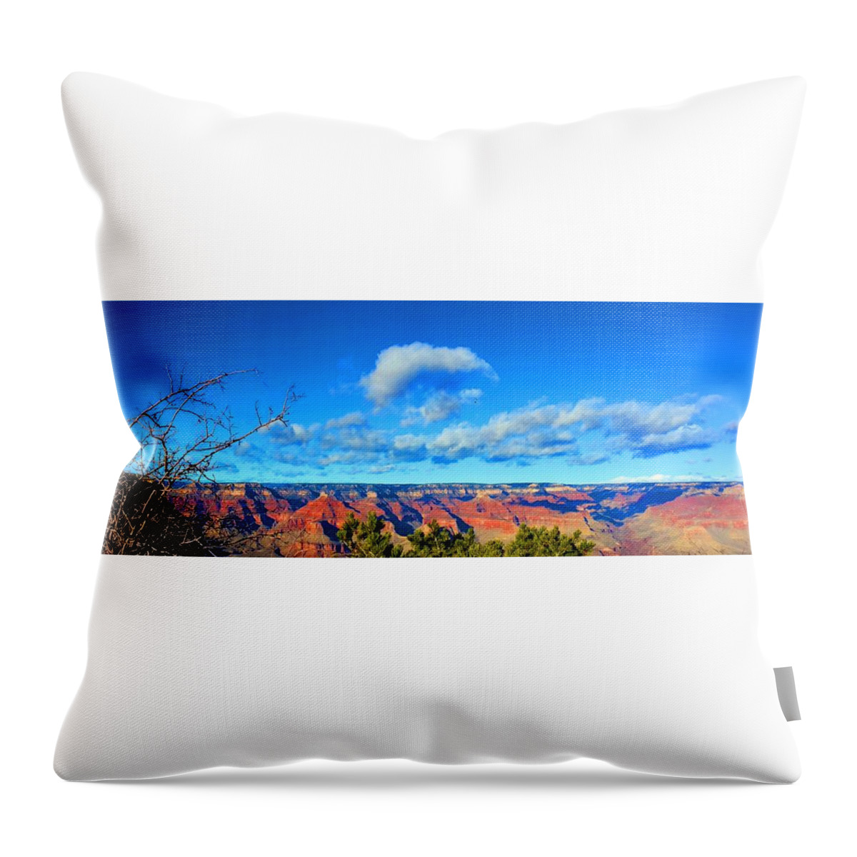 Grand Canyon South Rim Throw Pillow featuring the photograph Grand Canyon South Rim by Kume Bryant