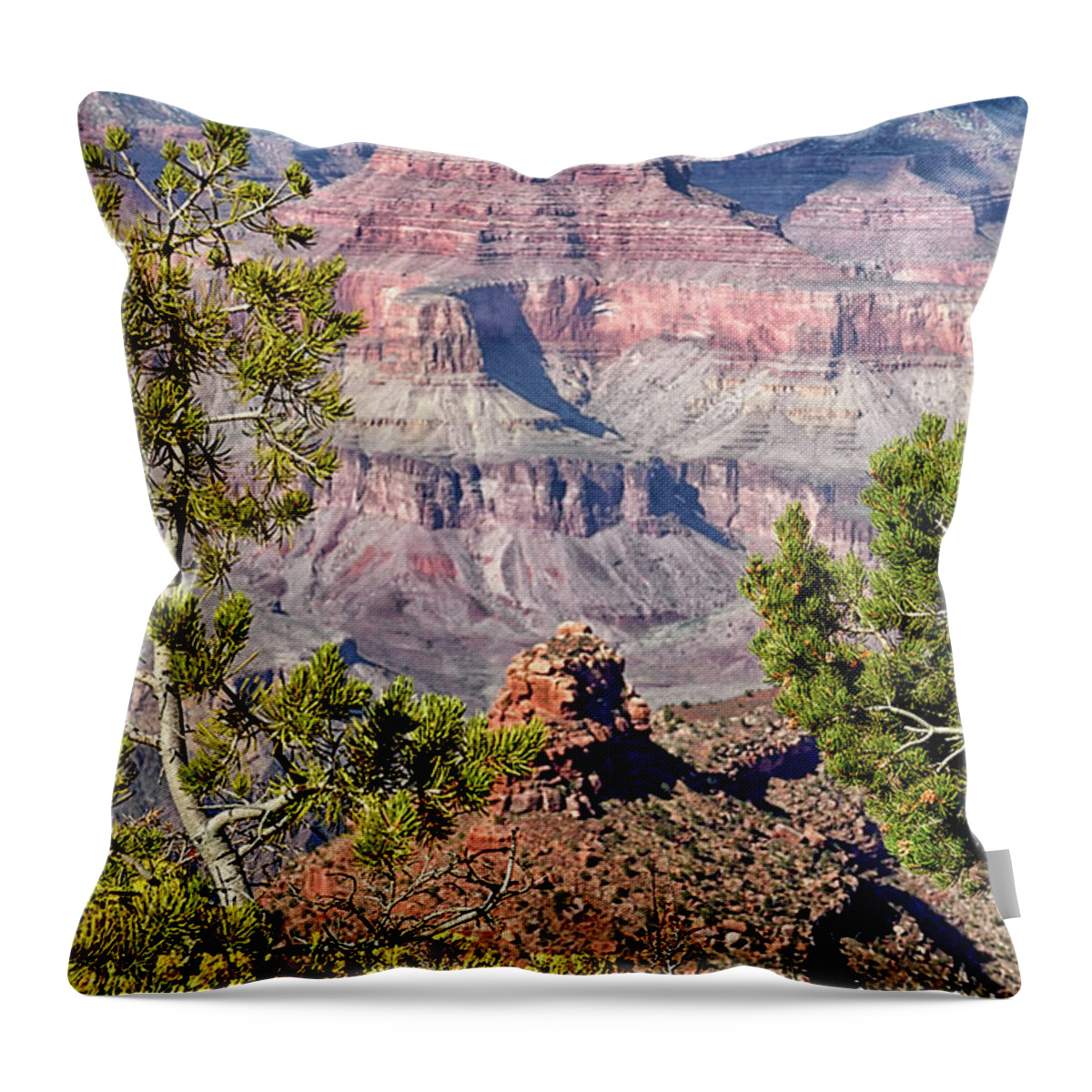 Top Artist Throw Pillow featuring the photograph Grand Canyon Vista by Norman Gabitzsch
