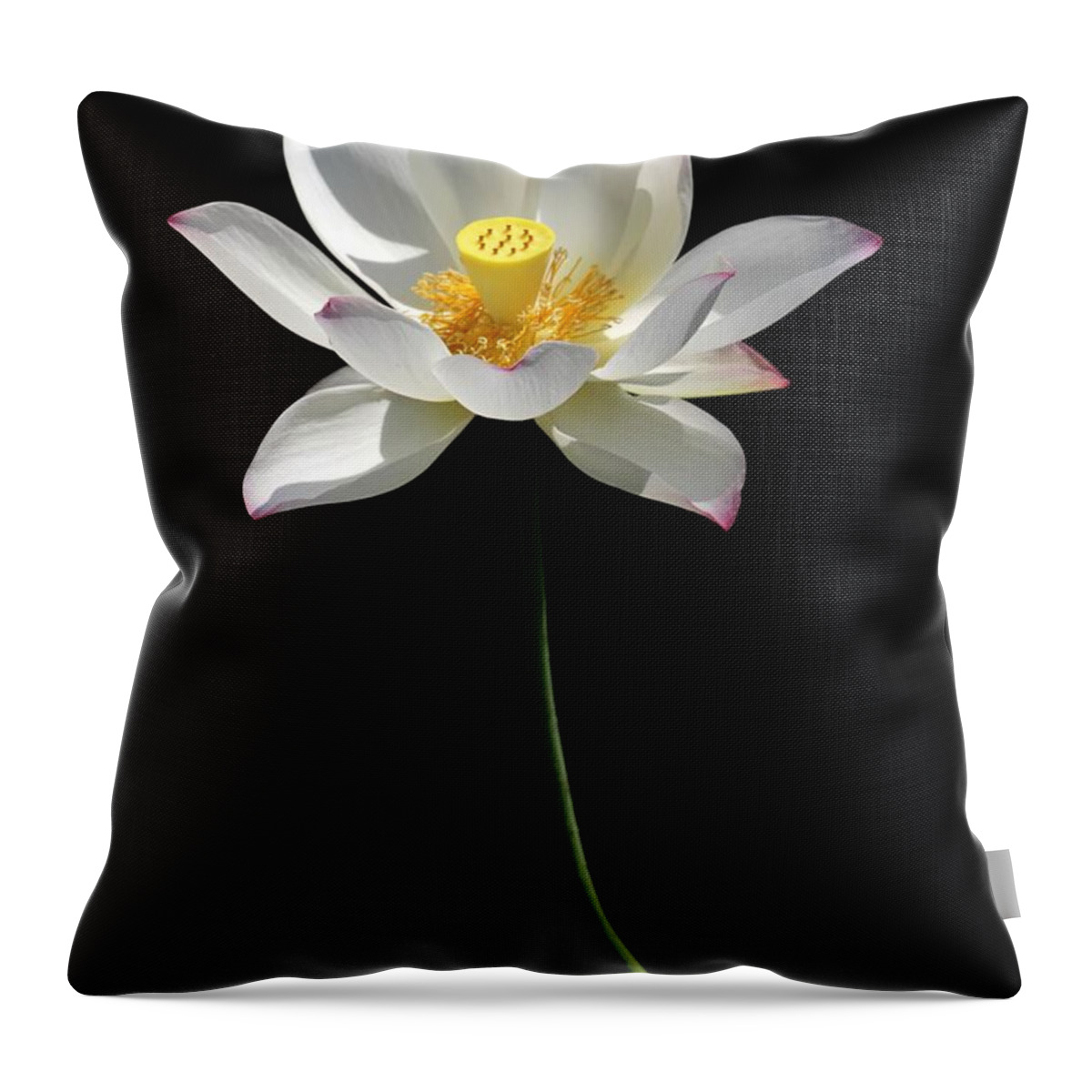 Lotus Throw Pillow featuring the photograph Grand Lotus by Sabrina L Ryan