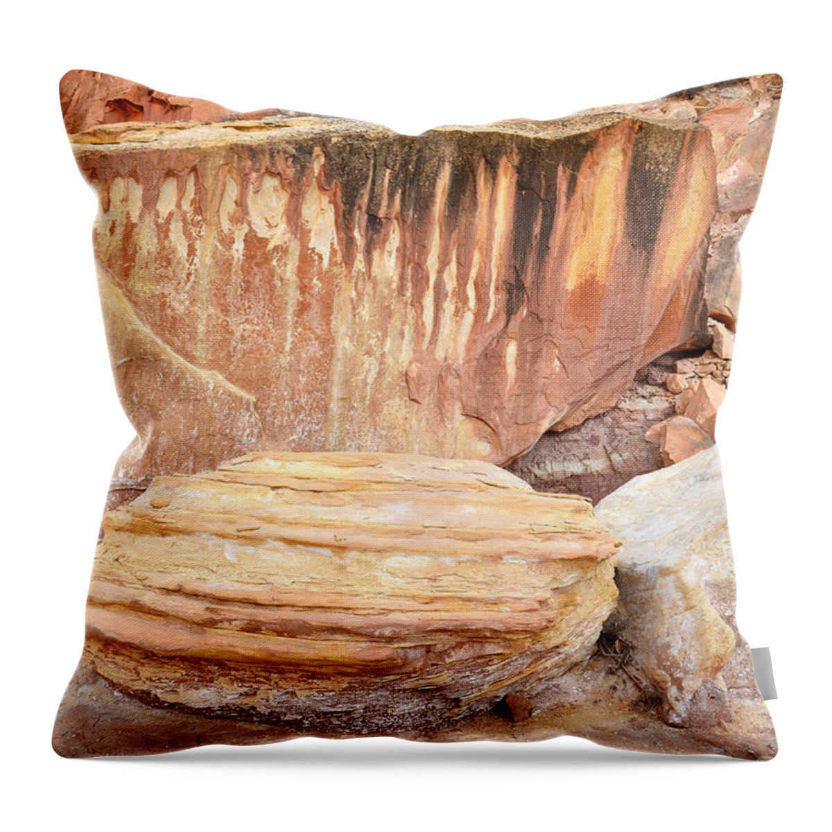 Capitol Reef National Park Throw Pillow featuring the photograph Grand Wash Rock Art by Ray Mathis