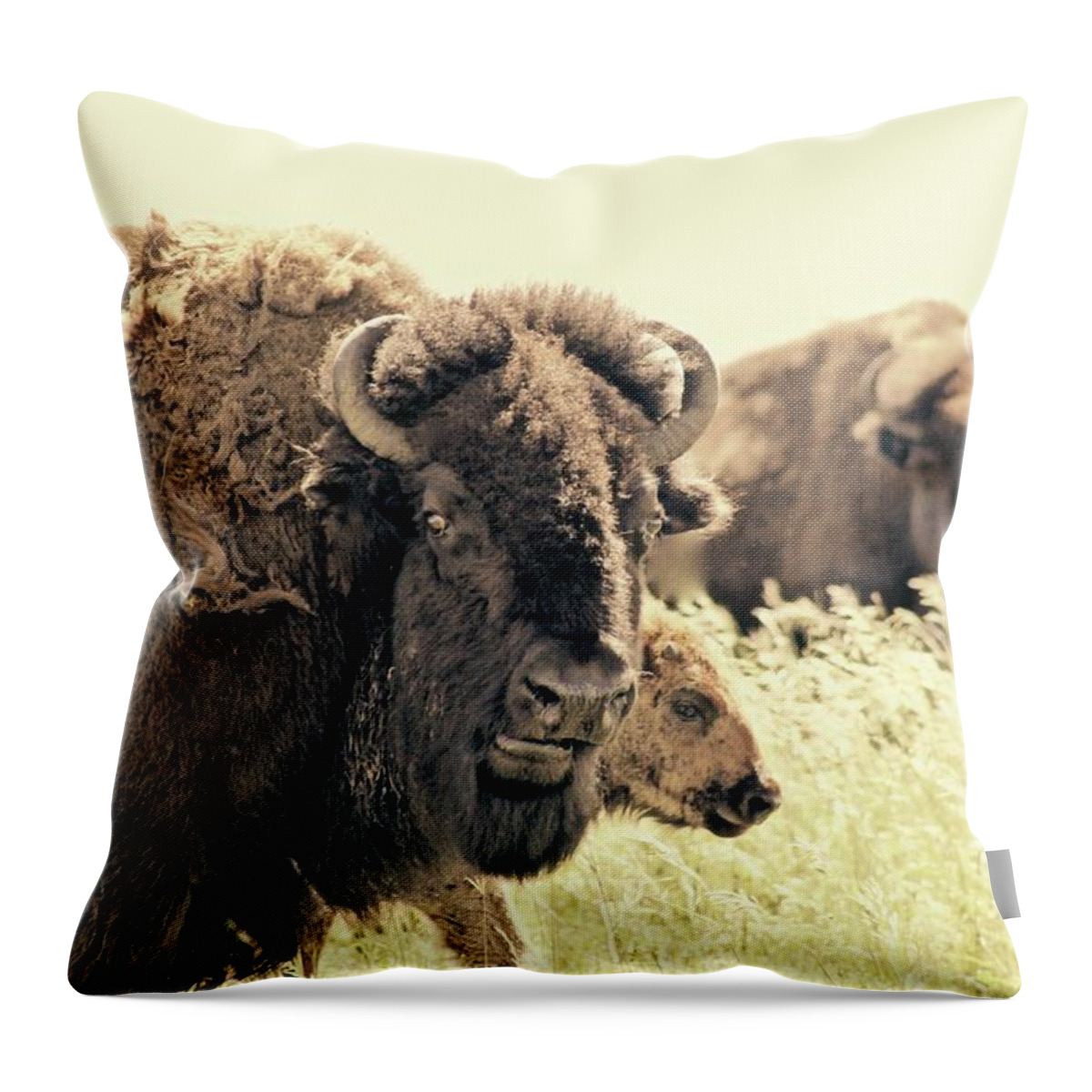  Throw Pillow featuring the photograph Grandpa and Kid by Brian Sereda