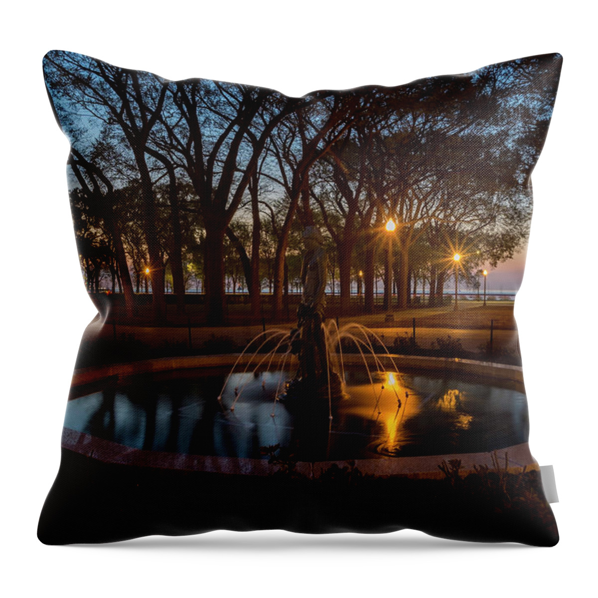 Grant Park Throw Pillow featuring the photograph Grant park scene at dawn by Sven Brogren