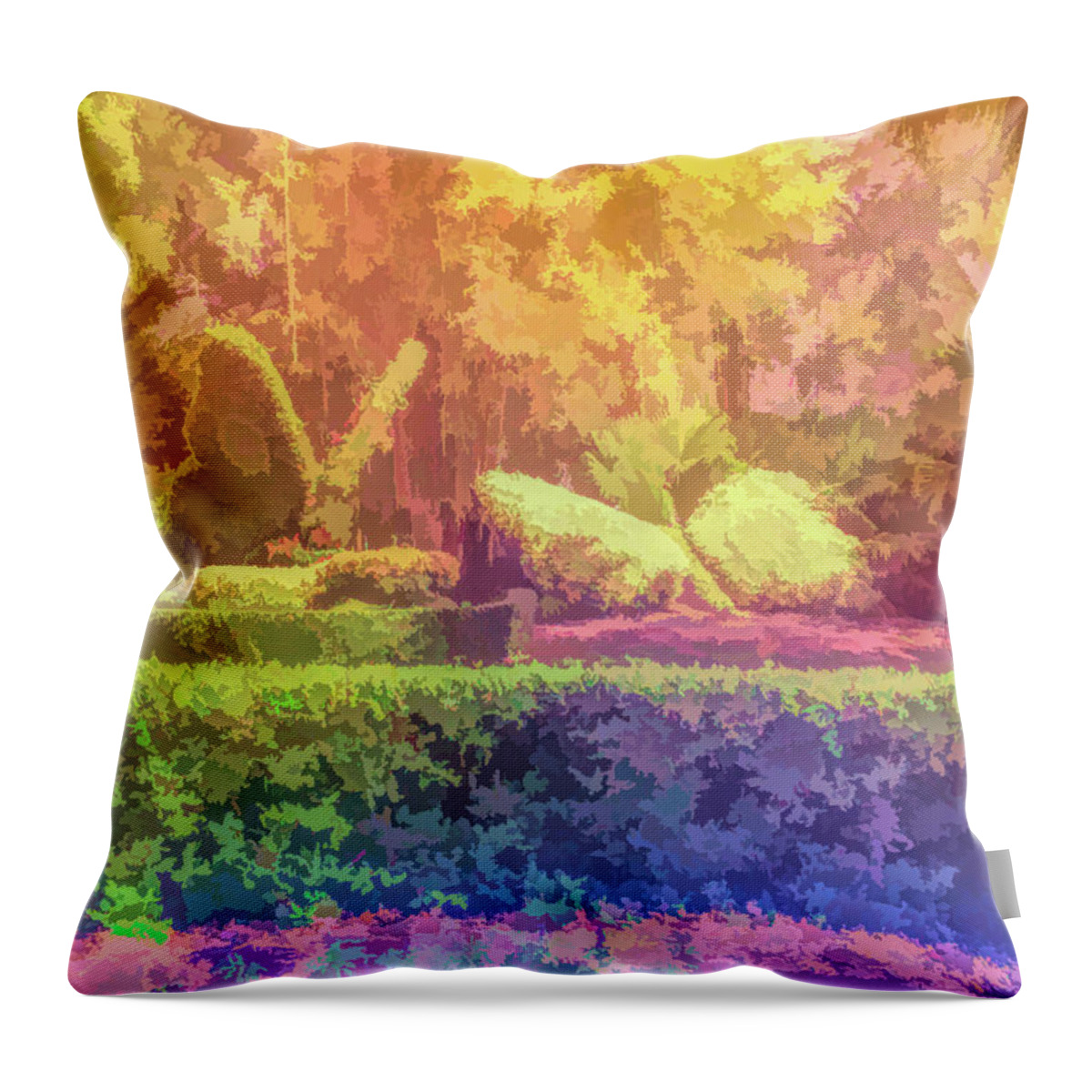 Flower Throw Pillow featuring the photograph Graphic Rainbow Flower Butterflies by Aimee L Maher ALM GALLERY