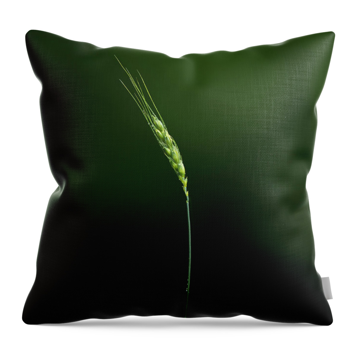 Nature Throw Pillow featuring the photograph Grass by Diane Diederich