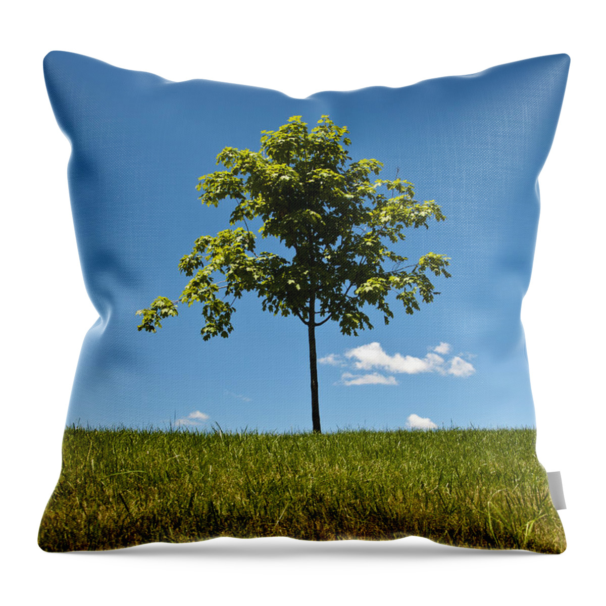 Art Throw Pillow featuring the photograph Grass Tree Cloud Sky by Tom McCarthy