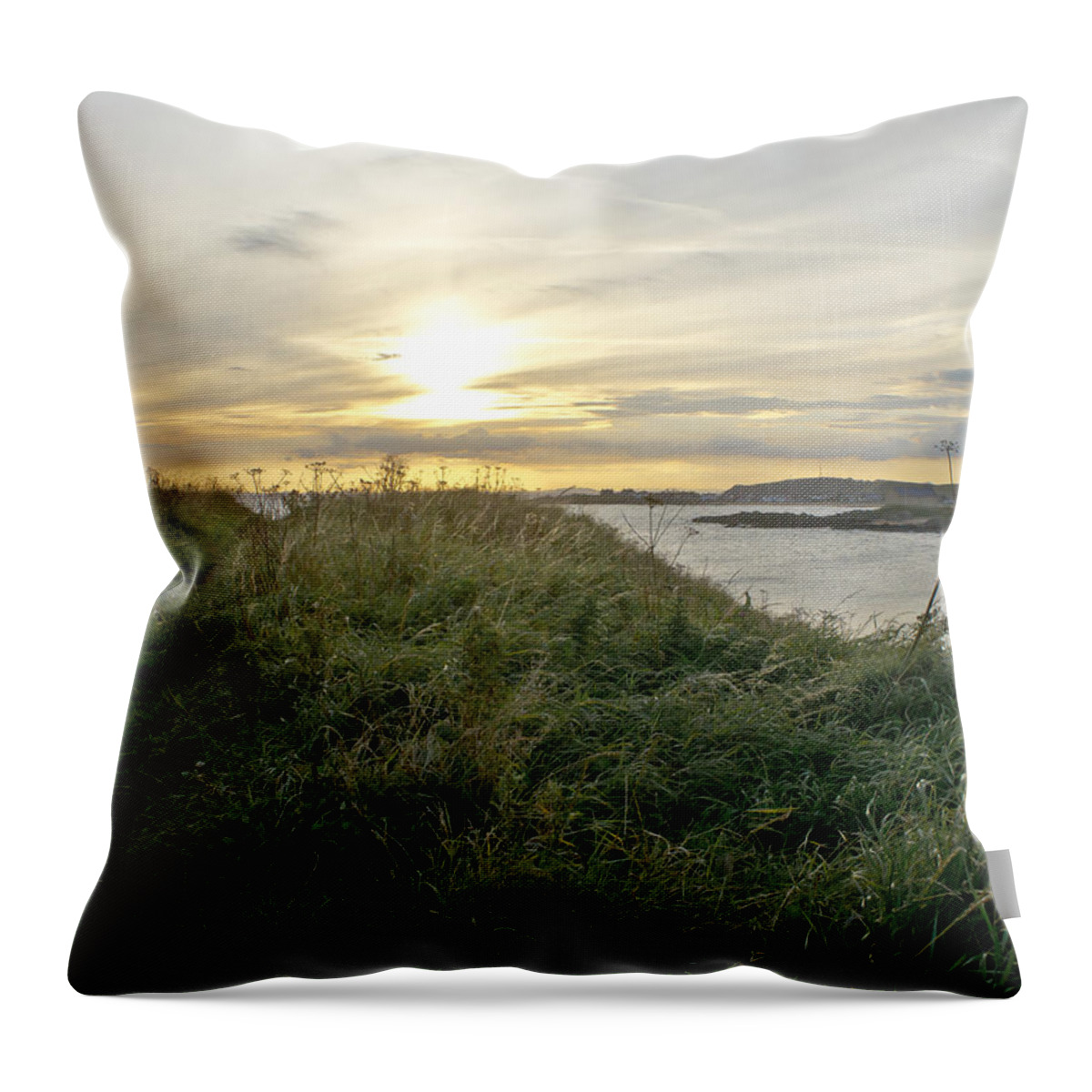 Setting Sun Throw Pillow featuring the photograph Grass vs Stems by Elena Perelman
