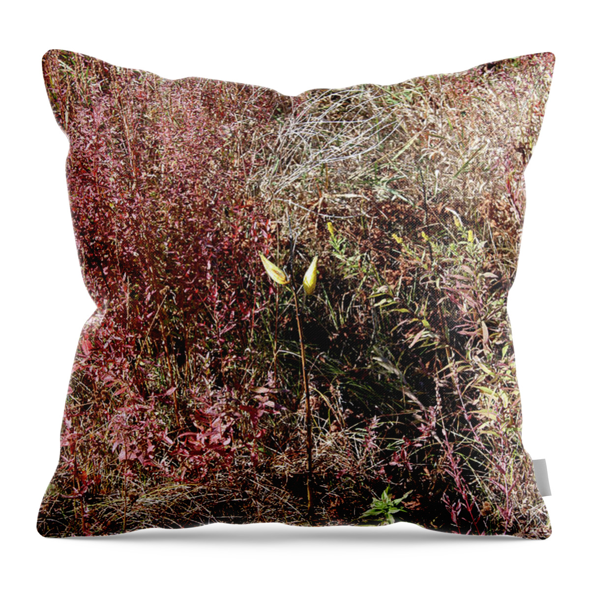  Throw Pillow featuring the photograph Grasses In Fall by Mark Alesse