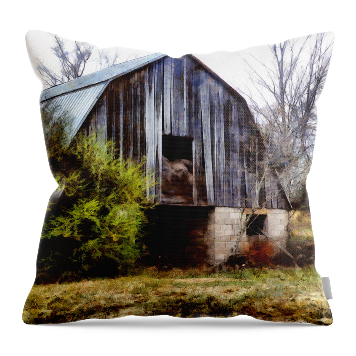 Barn Throw Pillow featuring the digital art Gray Barn by JGracey Stinson