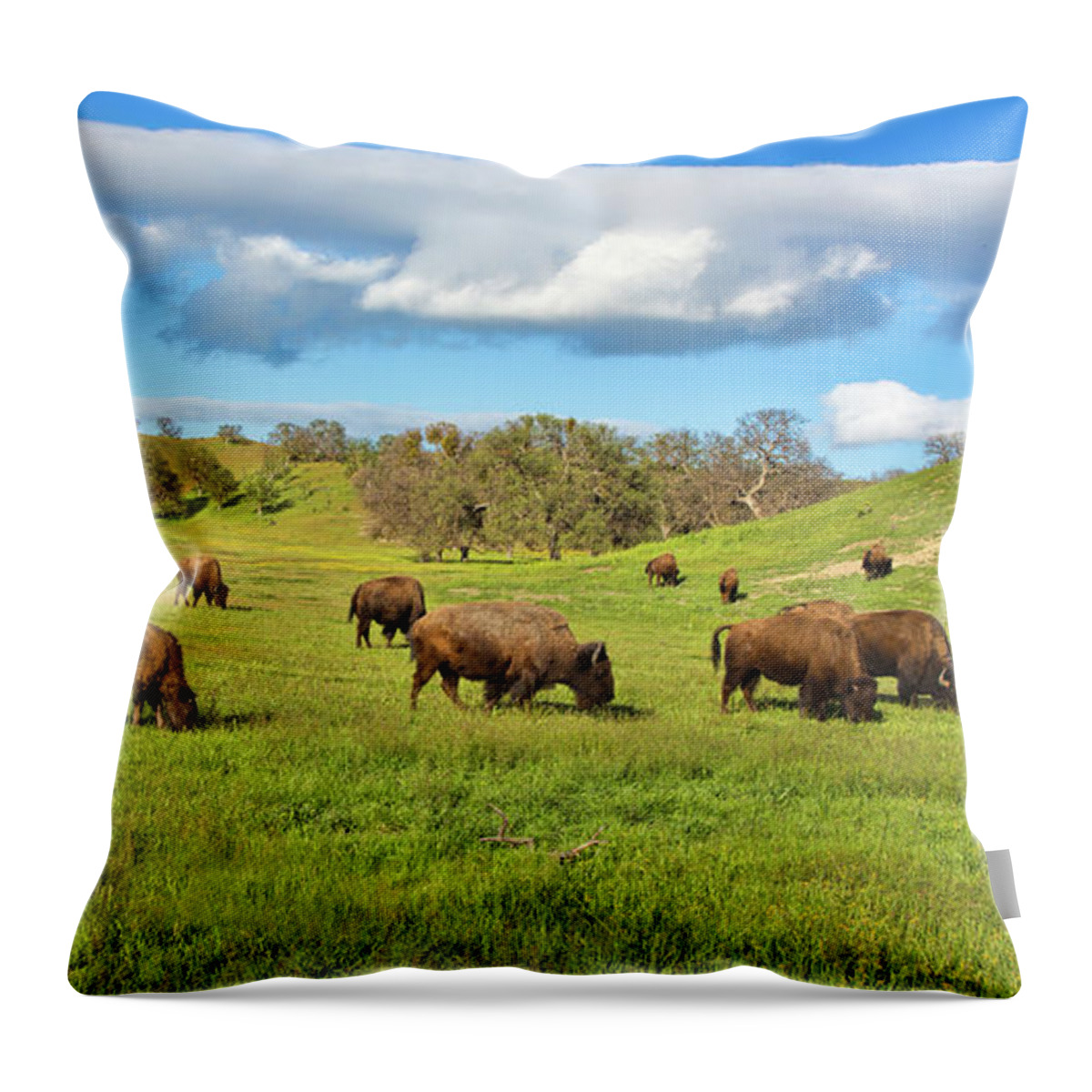 Buffalo Throw Pillow featuring the photograph Grazing Buffalo by Mimi Ditchie