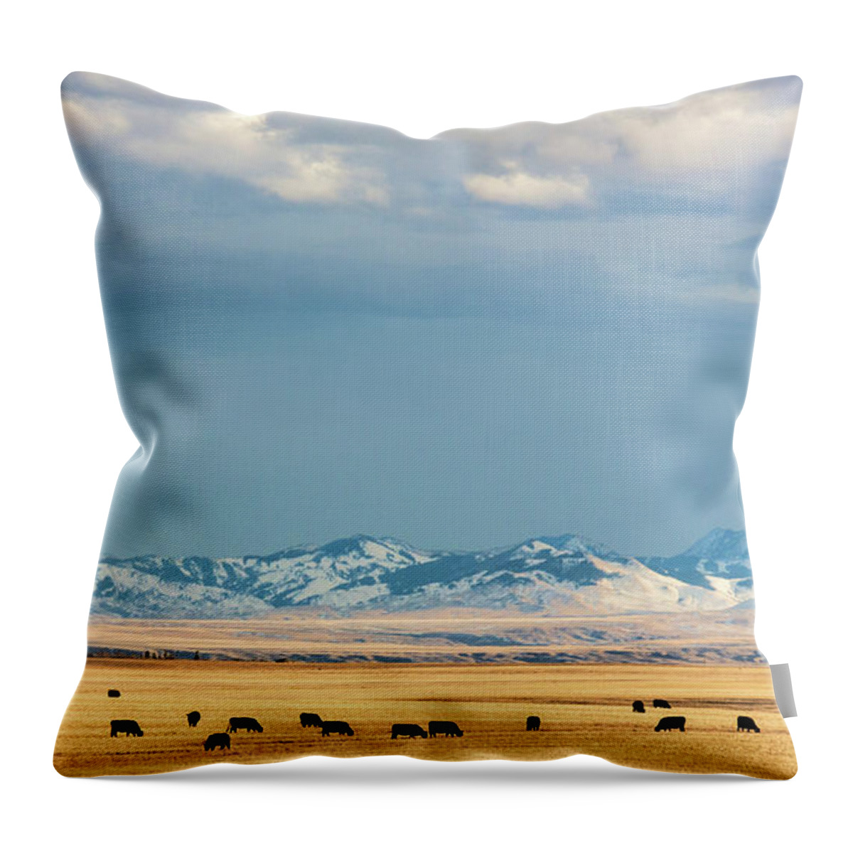 Cattle Throw Pillow featuring the photograph Grazing Near Highwood by Todd Klassy