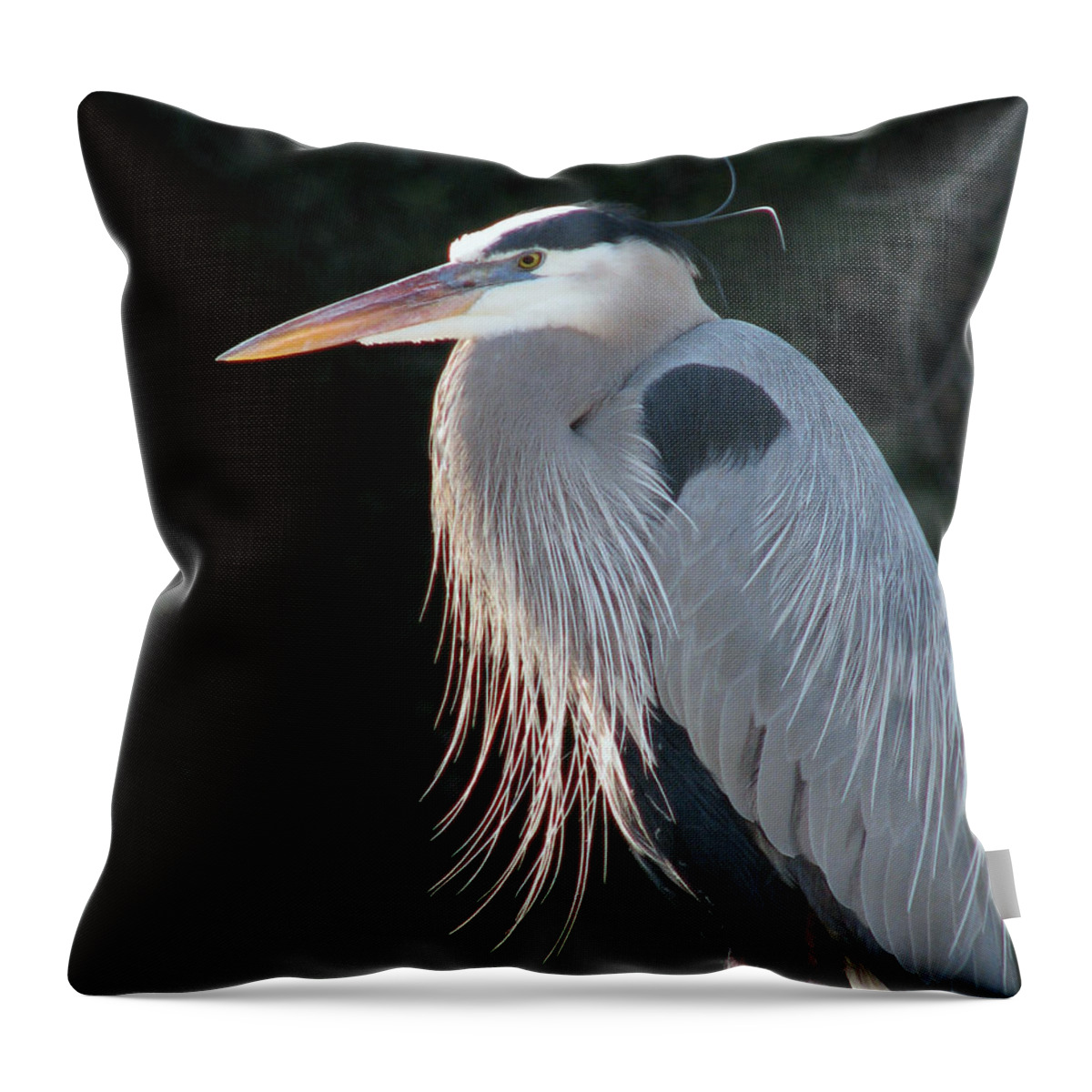 Nature Throw Pillow featuring the photograph Great Blue at Rest by Peggy Urban