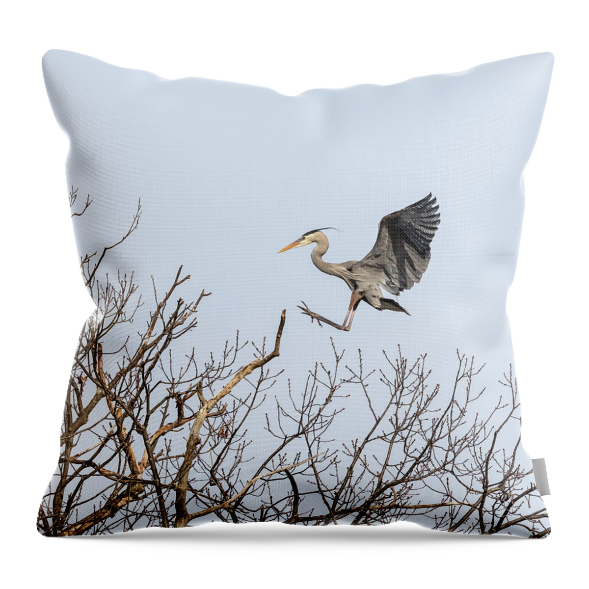 Great Blue Heron Throw Pillow featuring the photograph Great Blue Heron 2014-4 by Thomas Young