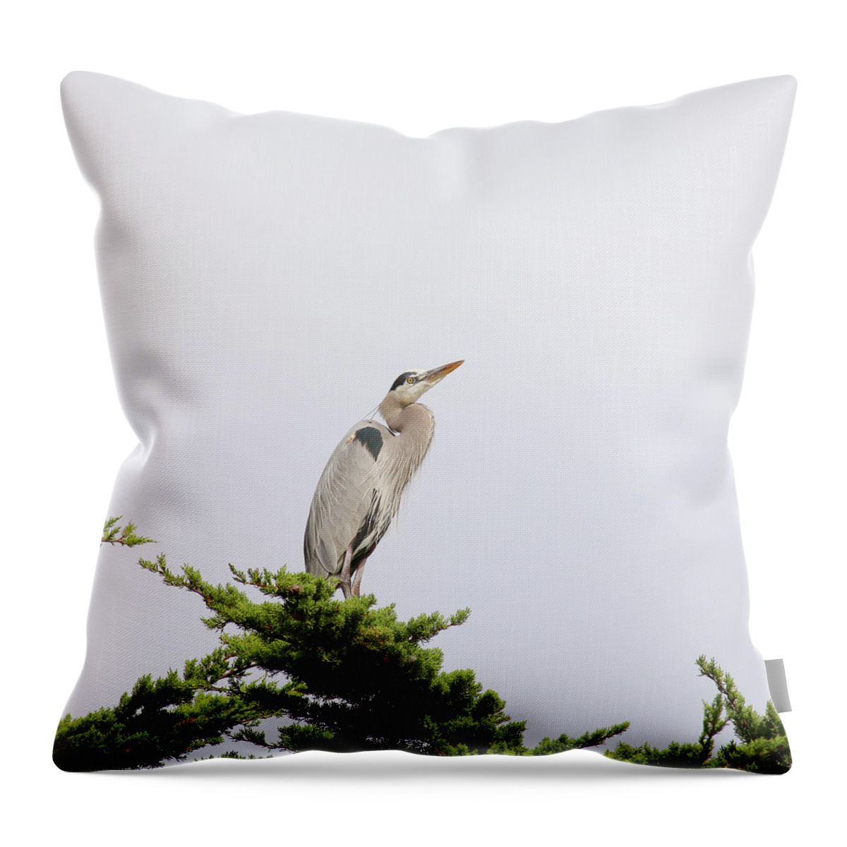 Great Blue Heron Throw Pillow featuring the photograph Great Blue Heron by Art Block Collections