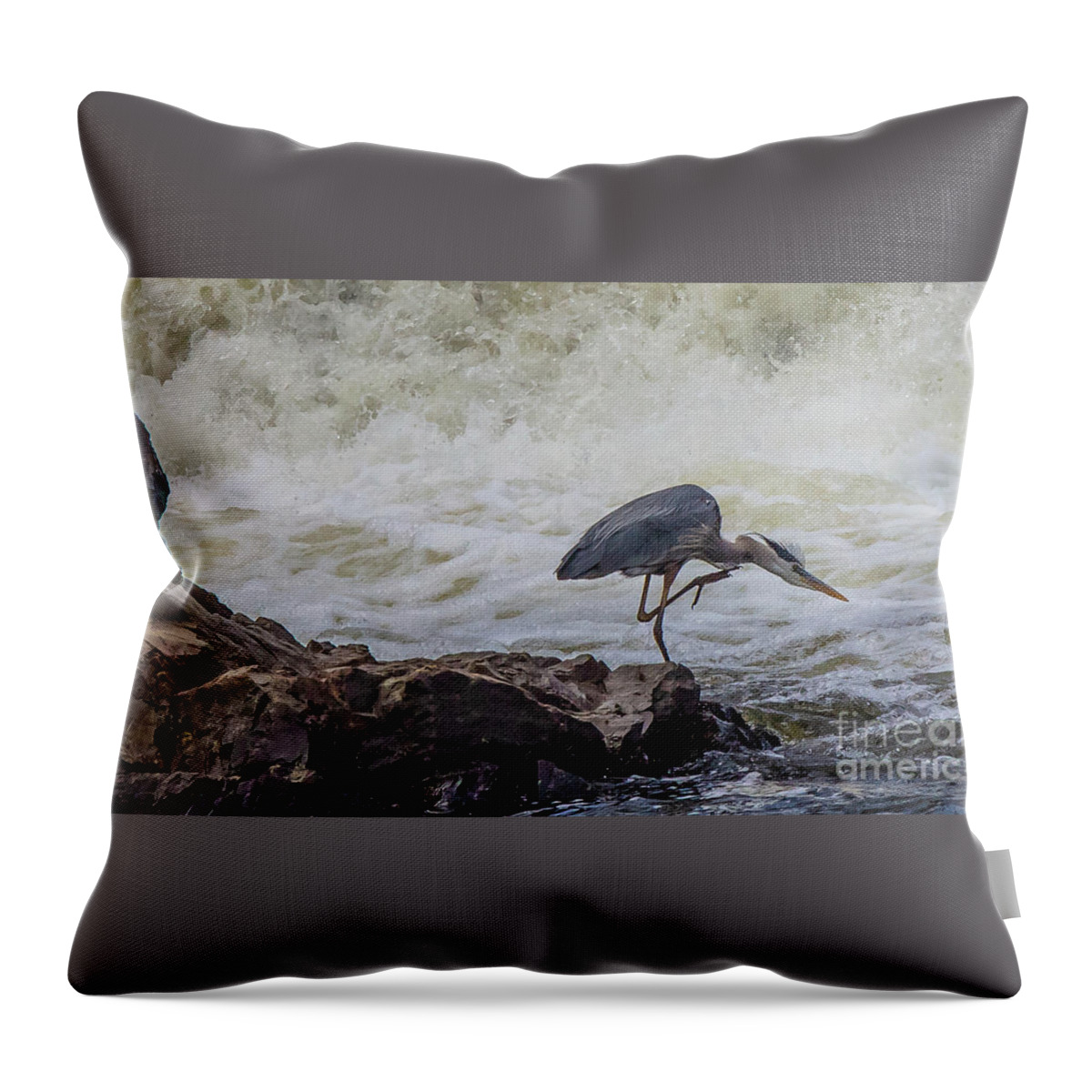 Great Blue Heron Throw Pillow featuring the photograph Great Blue Heron by David Bishop