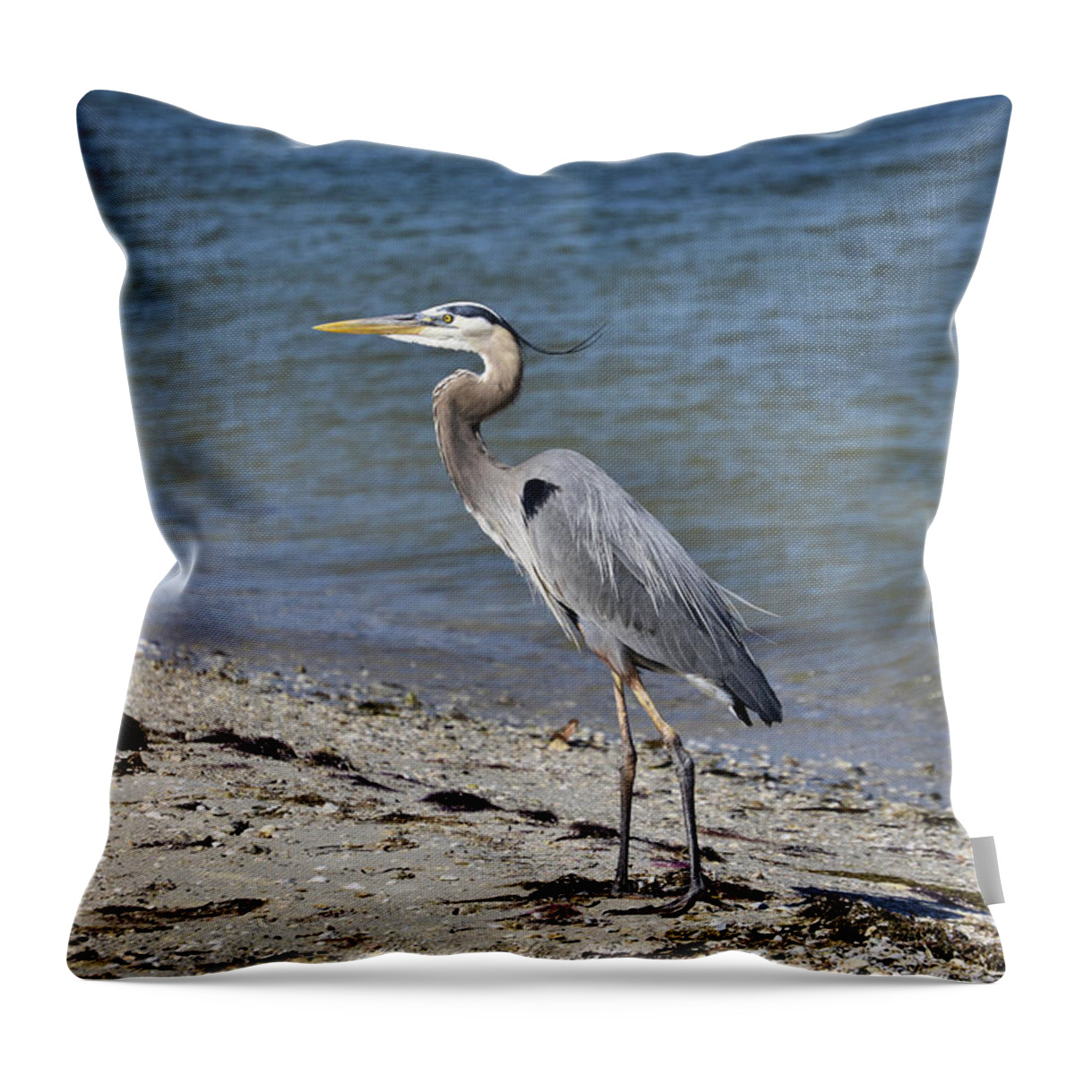 Heron Throw Pillow featuring the photograph Great Blue Heron by Deborah Weinhart