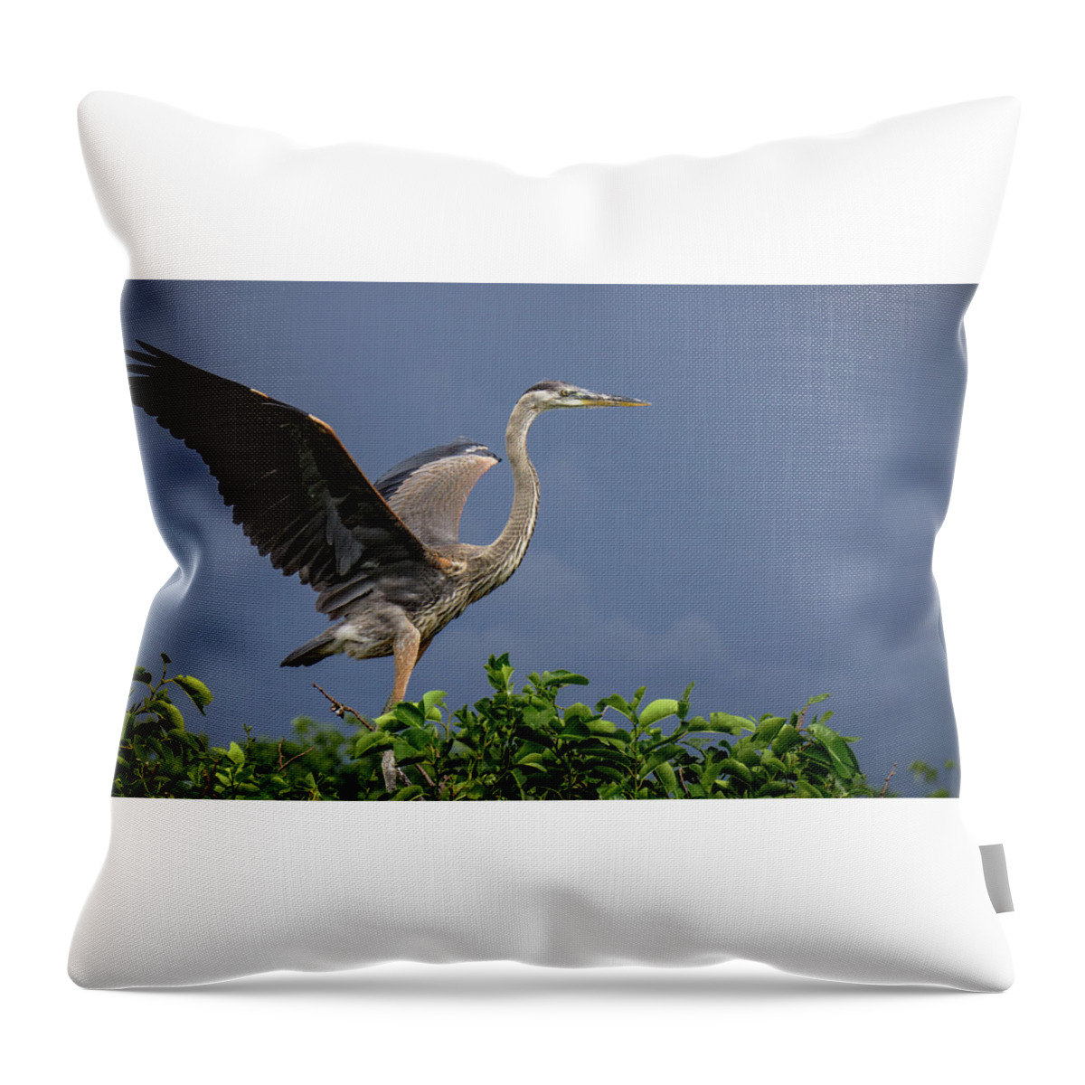 Florida Throw Pillow featuring the photograph Great Blue Heron Delray Beach Florida by Lawrence S Richardson Jr