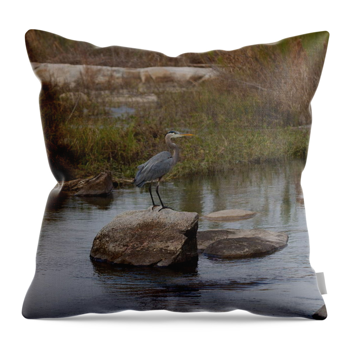 Heron Throw Pillow featuring the photograph Great blue heron by James Smullins