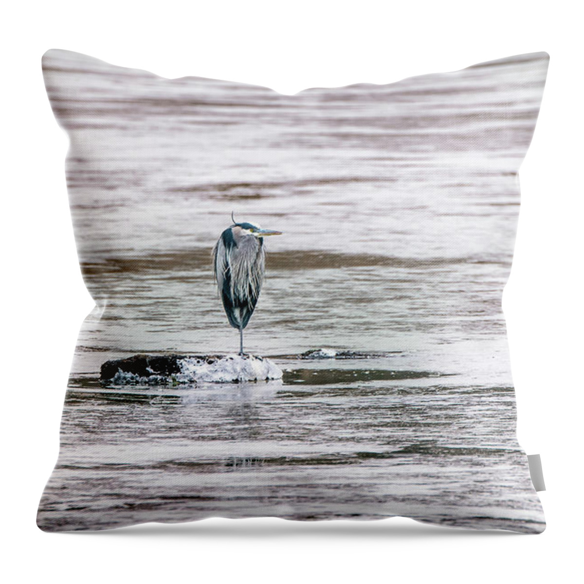 Great Blue Heron Throw Pillow featuring the photograph Great Blue Heron on a frozen lake by Patrick Wolf