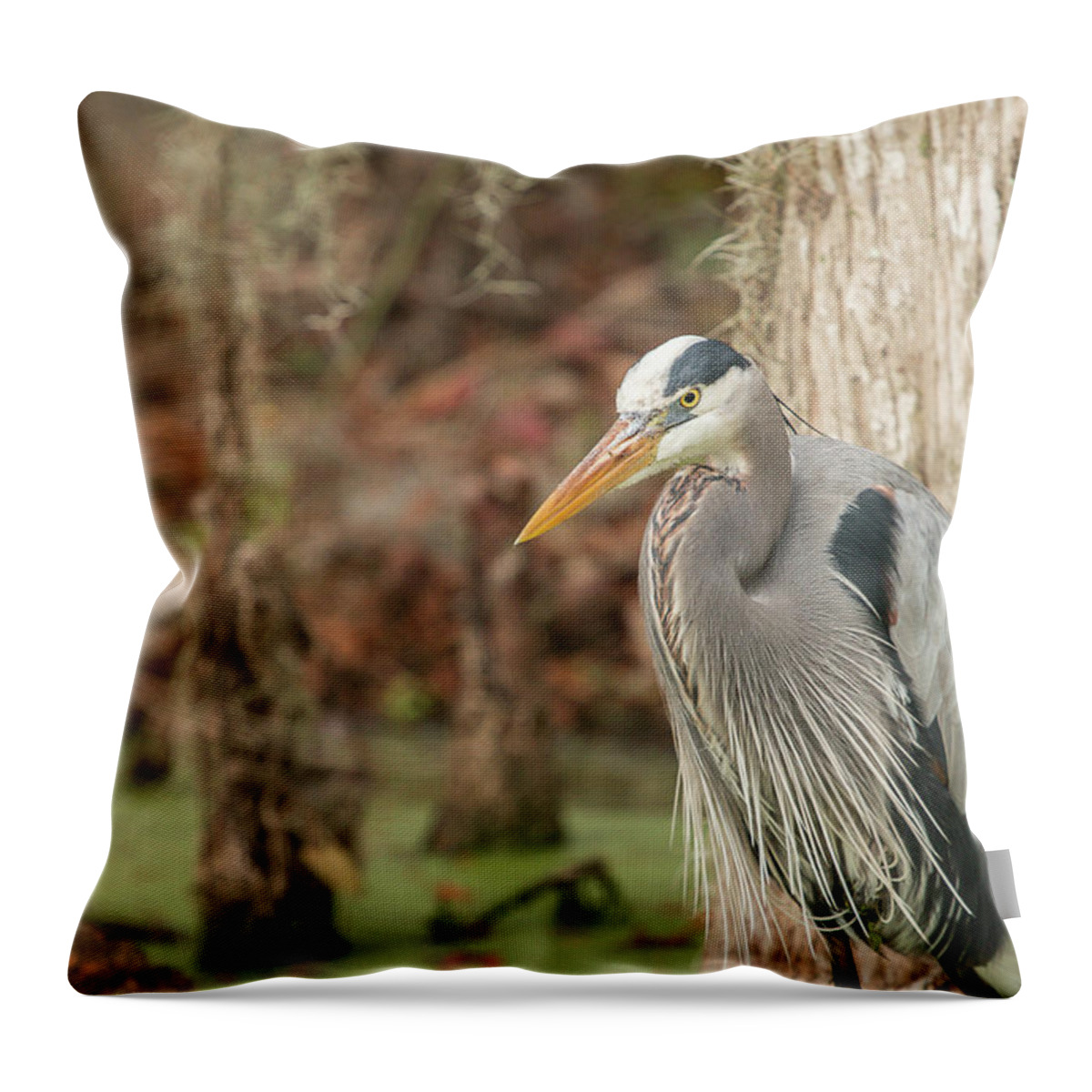 Great Blue Heron Throw Pillow featuring the photograph Great Blue Heron on Guard by Dorothy Cunningham