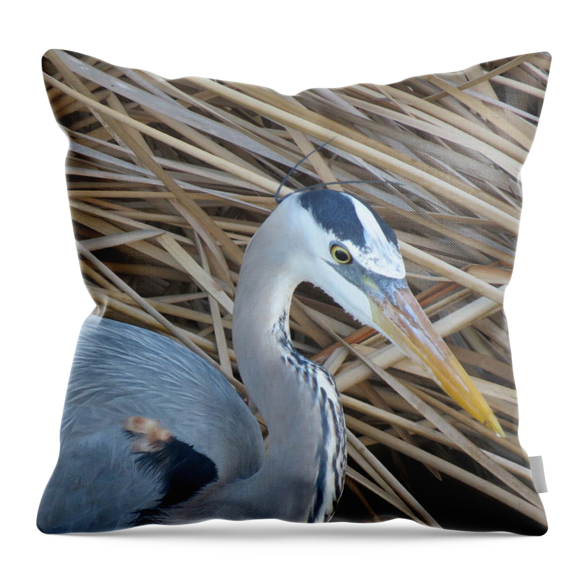 Great Blue Heron Throw Pillow featuring the photograph Great Blue Heron on SPI by Keith Stokes
