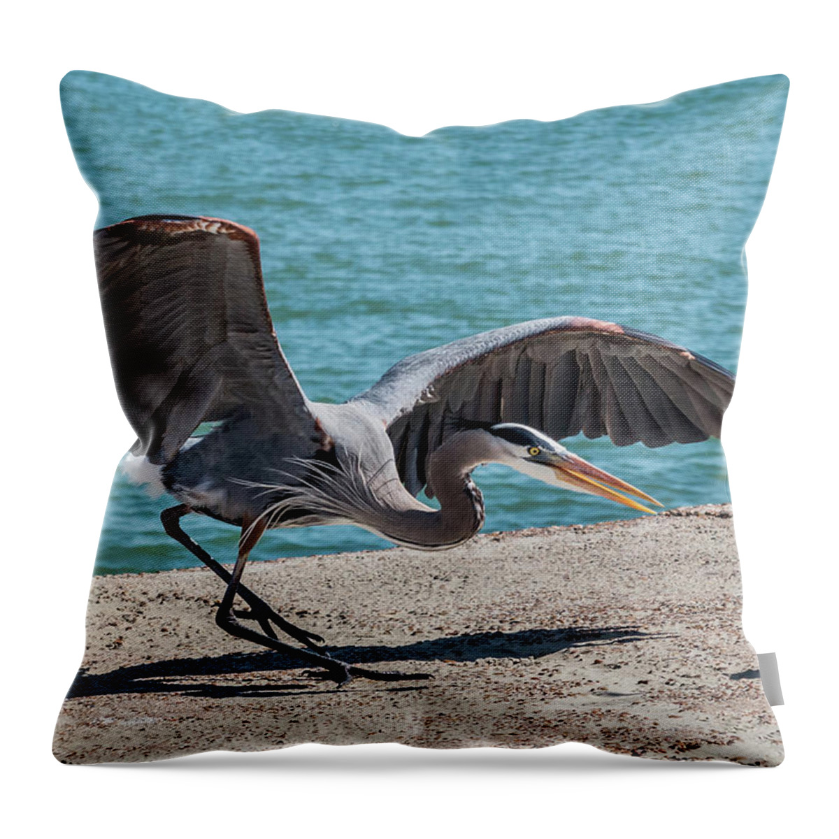 Bird Throw Pillow featuring the photograph Great Blue Heron Plays with Fish #1 by Patti Deters