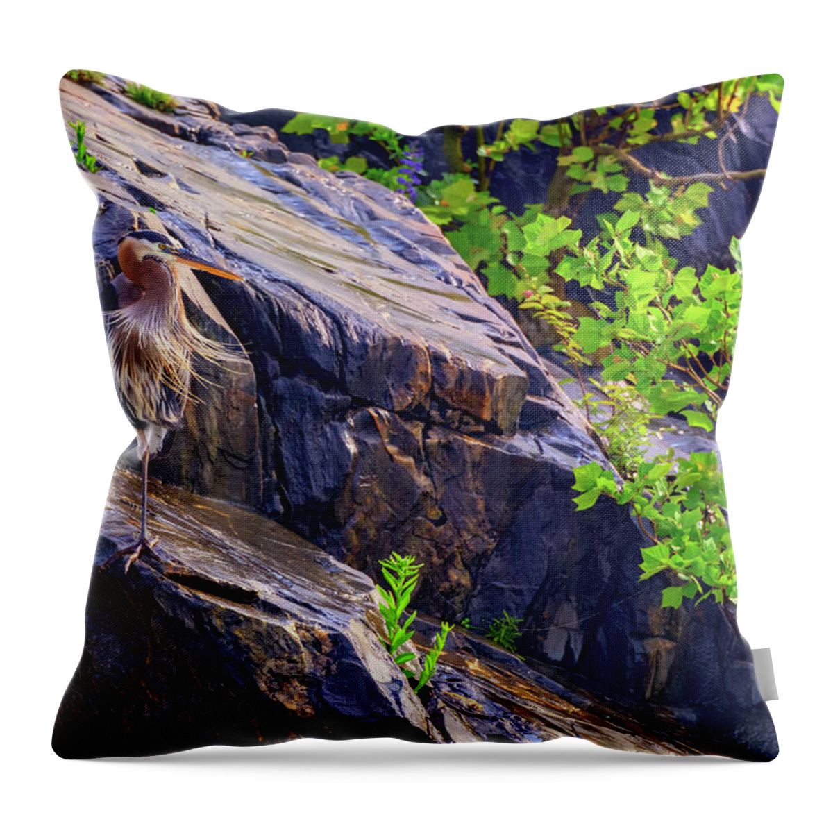 Great Blue Heron Throw Pillow featuring the photograph Great Blue Heron by Rick Berk