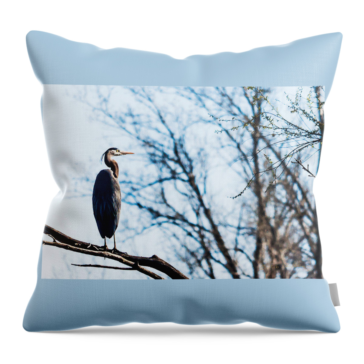 Great Blue Heron Throw Pillow featuring the photograph Great Blue Heron Sitting In A Tree by Ed Peterson