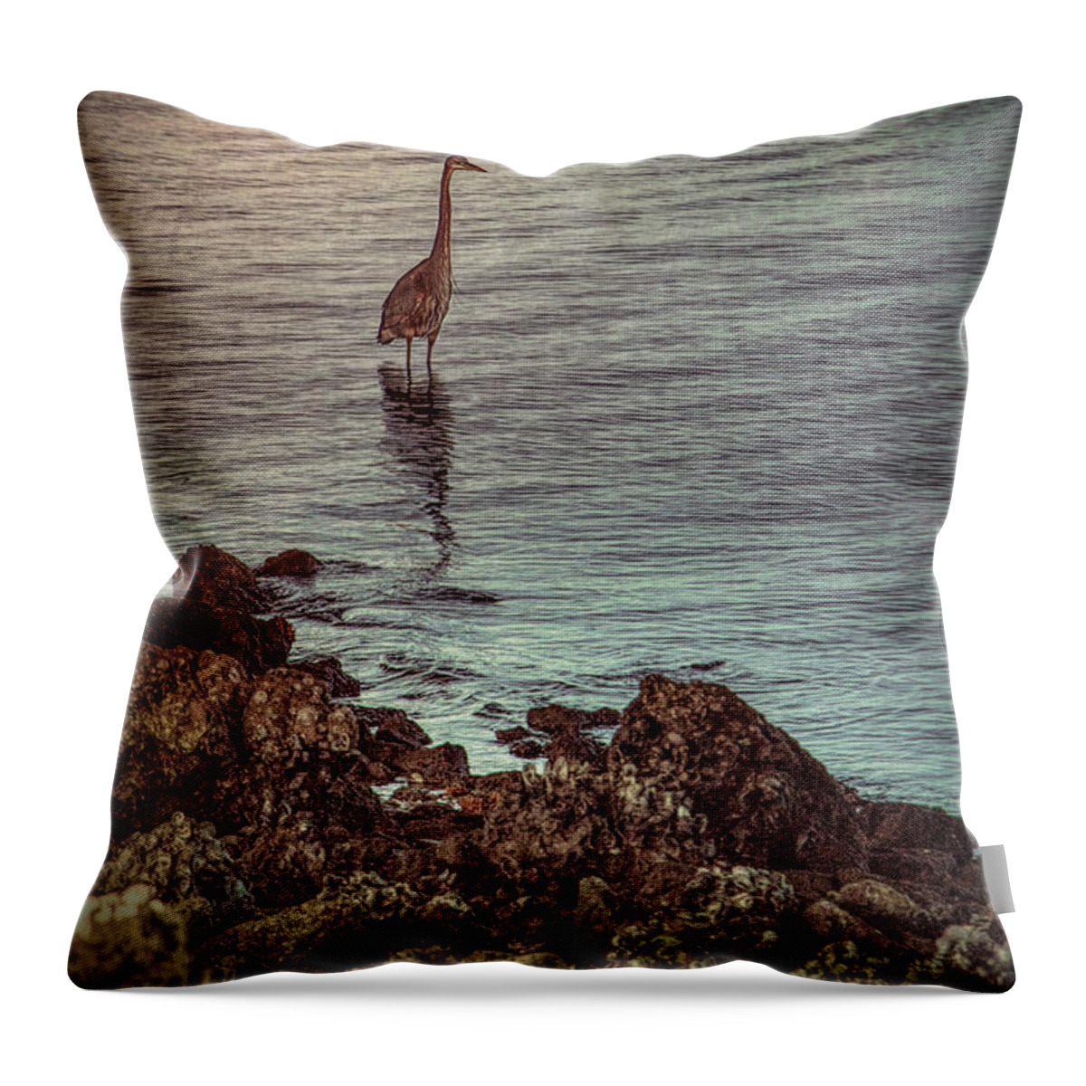 Bird Key Park Throw Pillow featuring the photograph Great Blue Hunting at Dusk by Richard Goldman