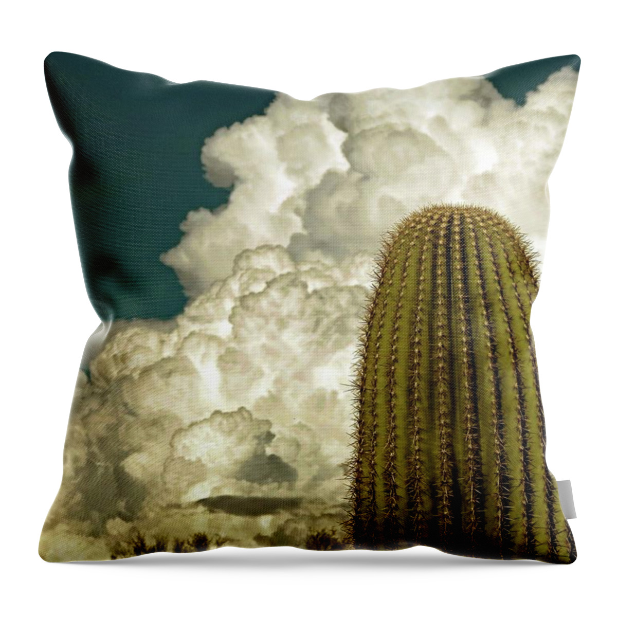 Saguaro Cactus Throw Pillow featuring the photograph Great Cloud by Hazel Vaughn