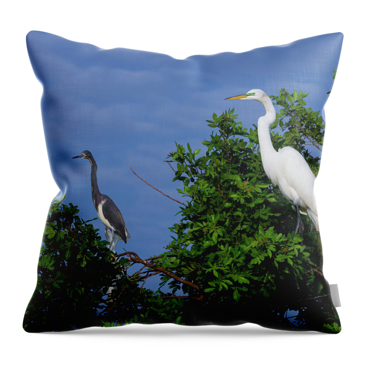 Egret Throw Pillow featuring the photograph Great Egret by Dillon Kalkhurst