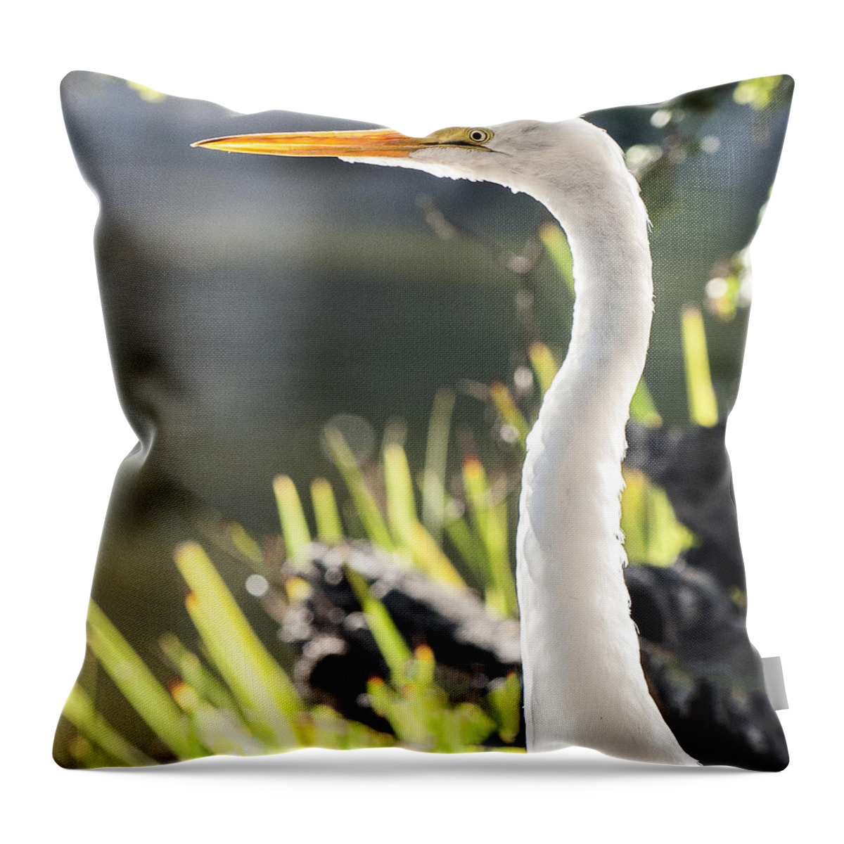 Bird Throw Pillow featuring the photograph Great Egret Headshot Profile by William Bitman
