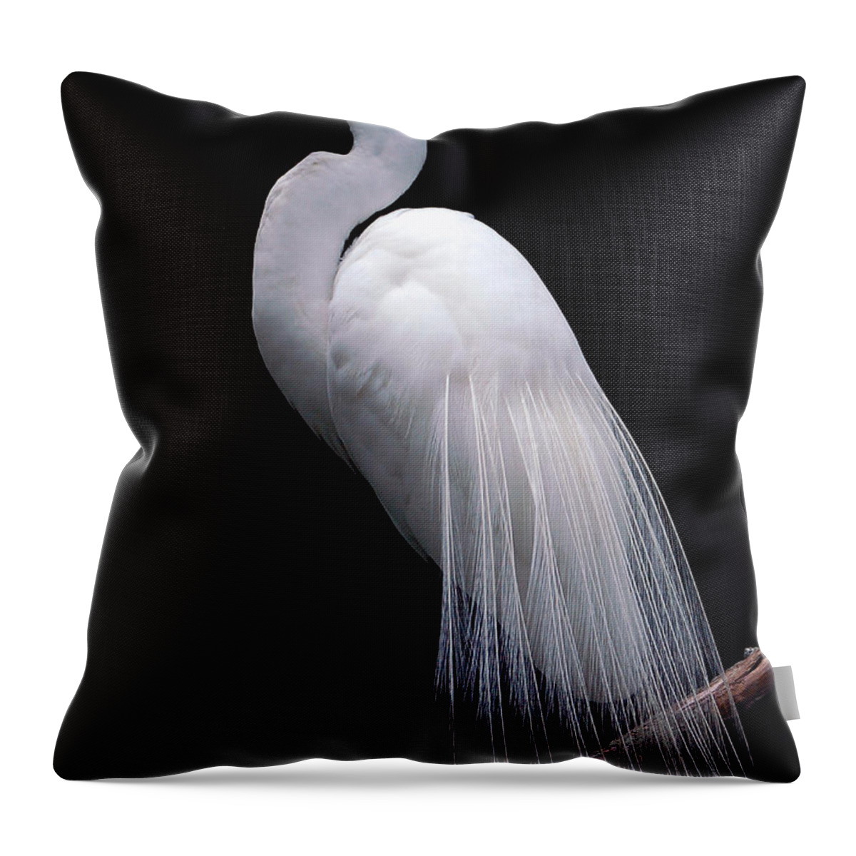 Egret Throw Pillow featuring the photograph Great Egret II by Donna Proctor