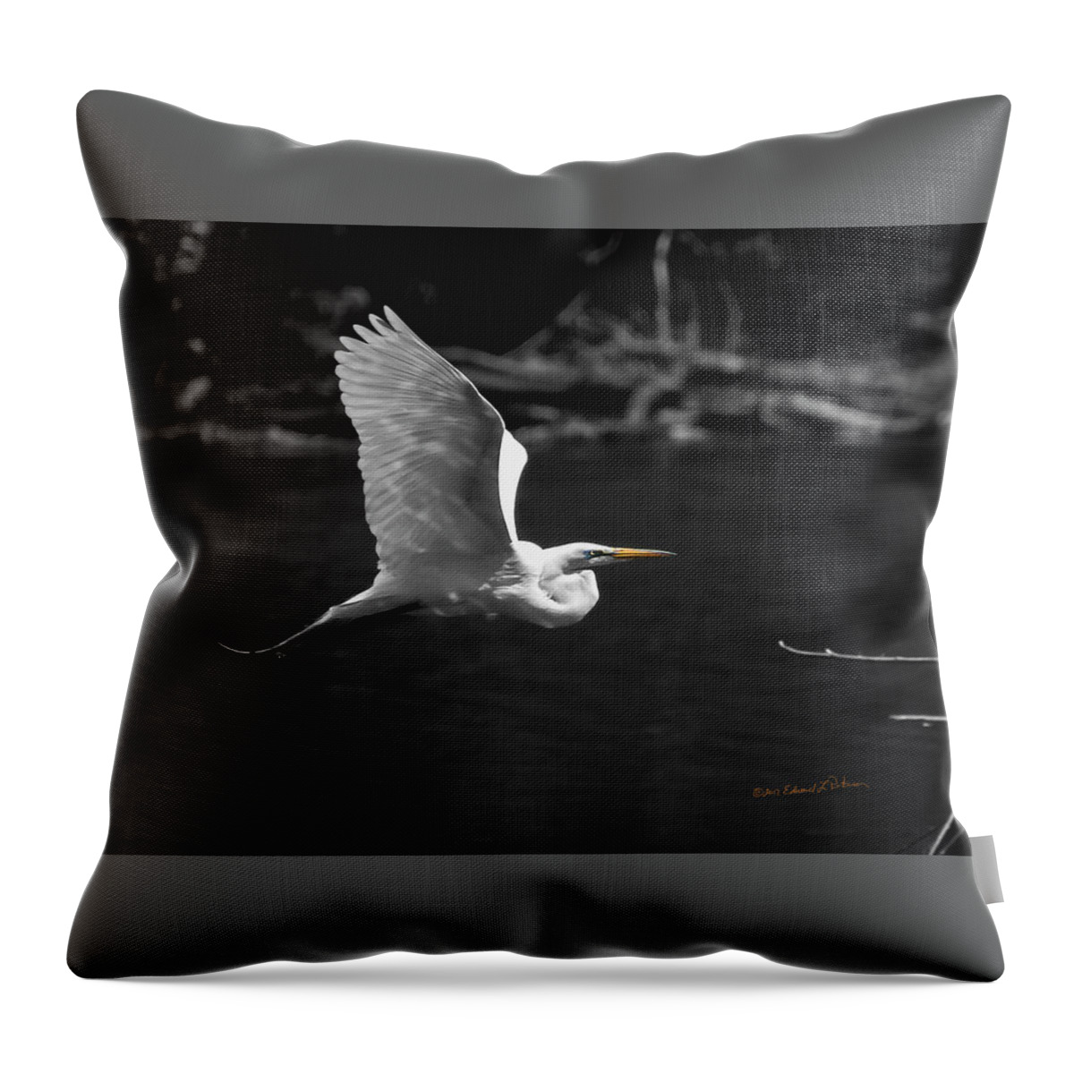 Flight Throw Pillow featuring the photograph Great Egret In BW by Ed Peterson