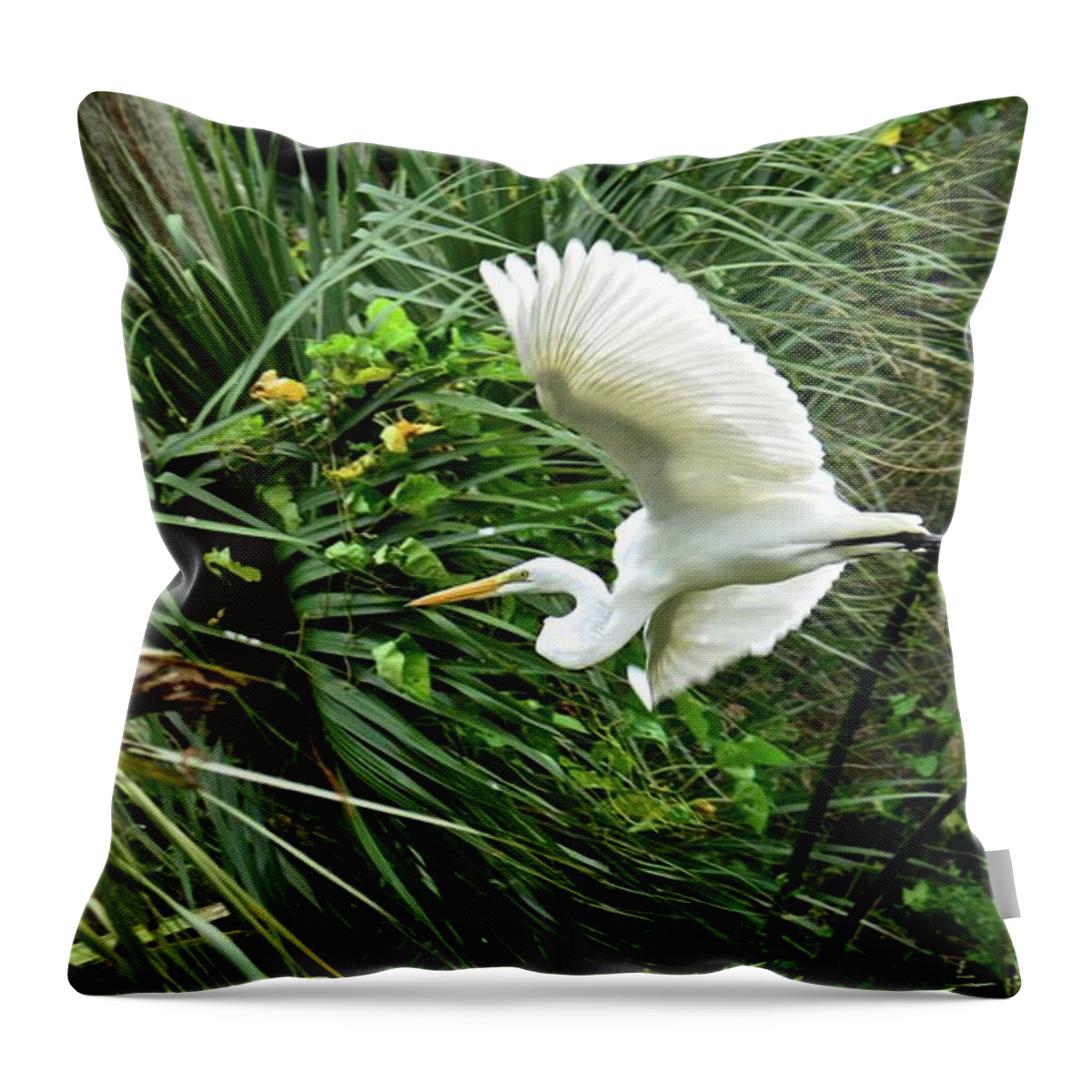 Egret Throw Pillow featuring the photograph Great Egret In Flight by Carol Bradley