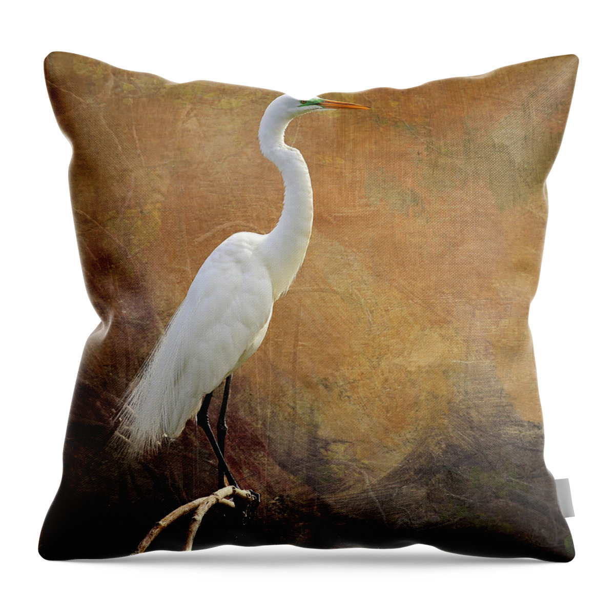 Great Egret Throw Pillow featuring the photograph Great Egret with Texture by Judy Vincent
