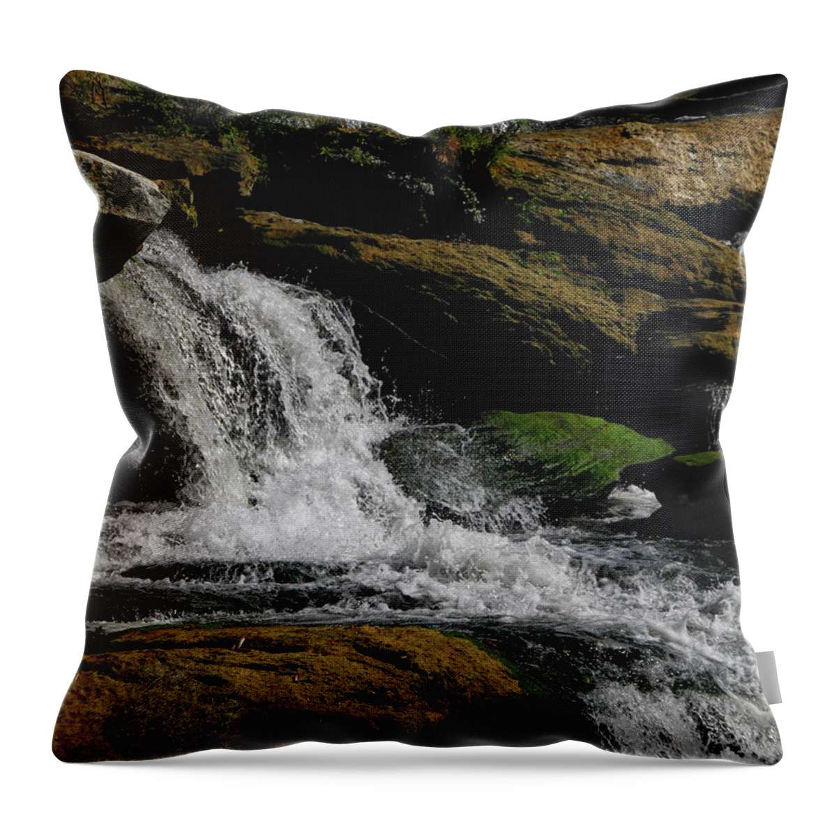 Great Falls Throw Pillow featuring the photograph Great Falls 2 by Raymond Salani III