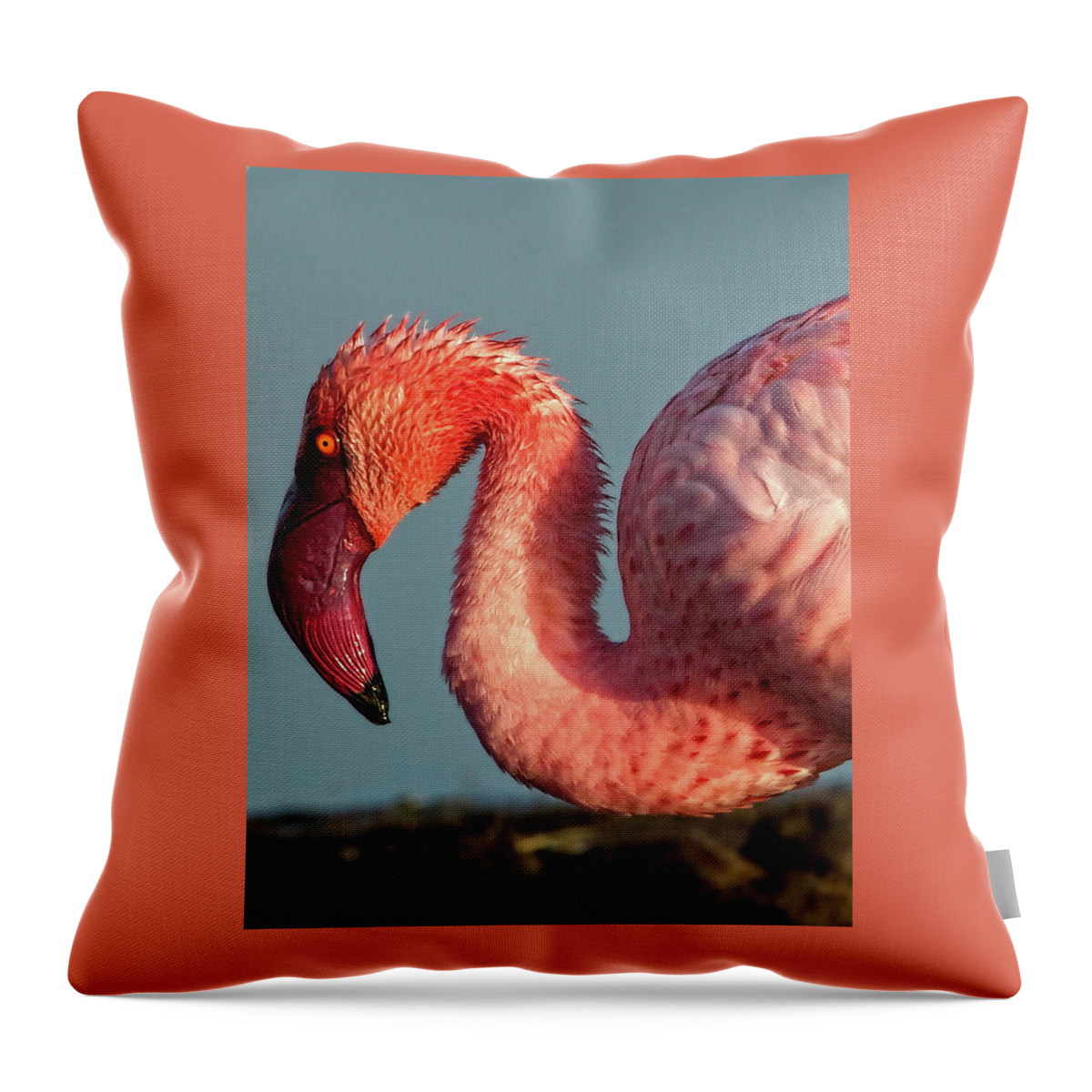 Red Throw Pillow featuring the photograph Great Flamingo at Lake Nakuru by Steven Upton