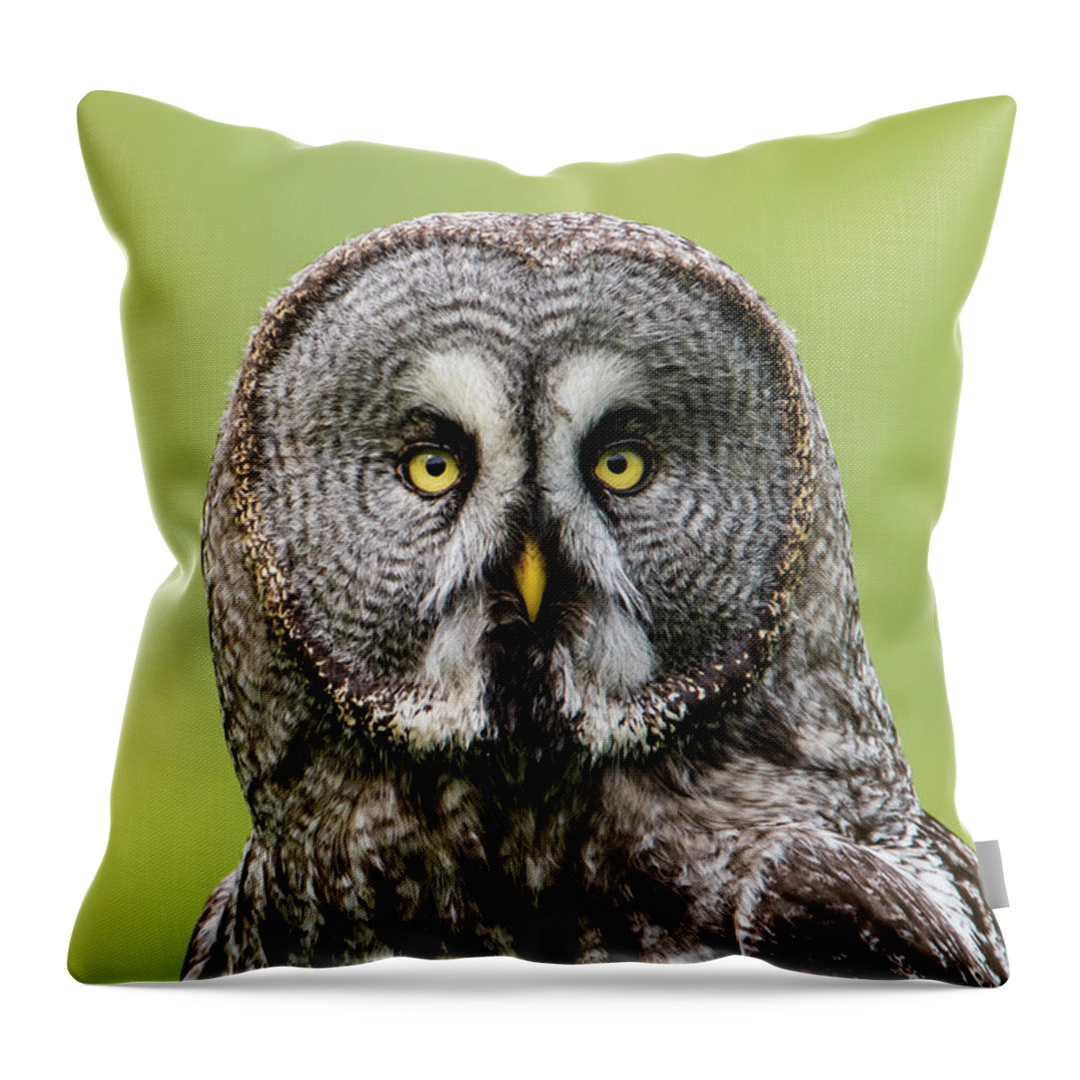 Great Grey's Portrait Throw Pillow featuring the photograph Great Grey's Portrait left by Torbjorn Swenelius