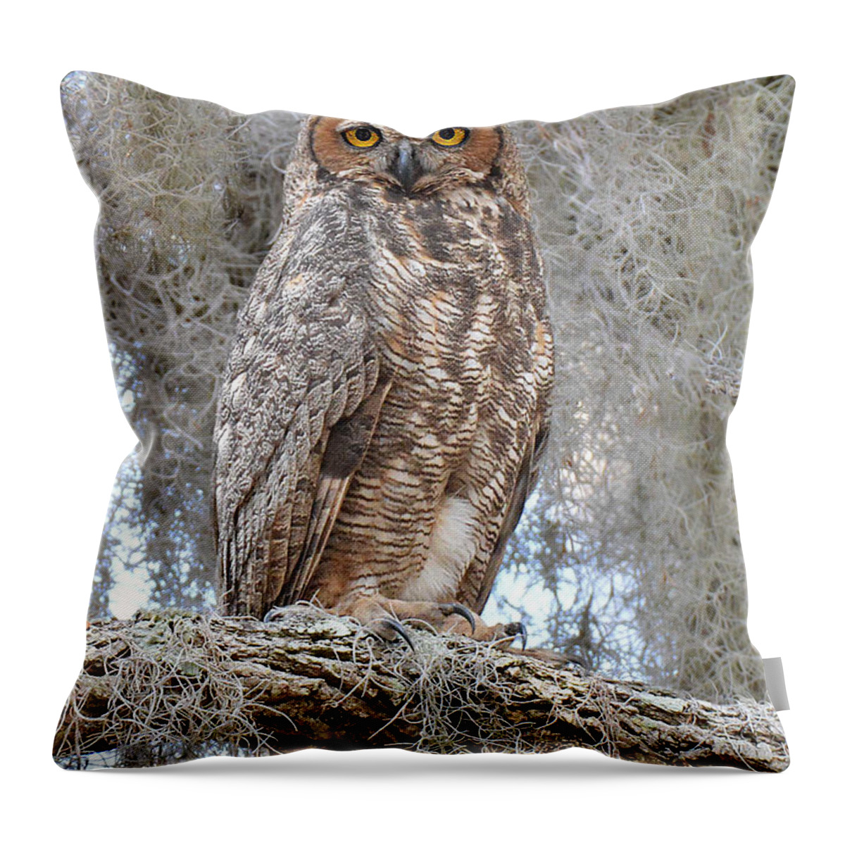Bird Throw Pillow featuring the photograph Great Horned Owl by Alan Lenk