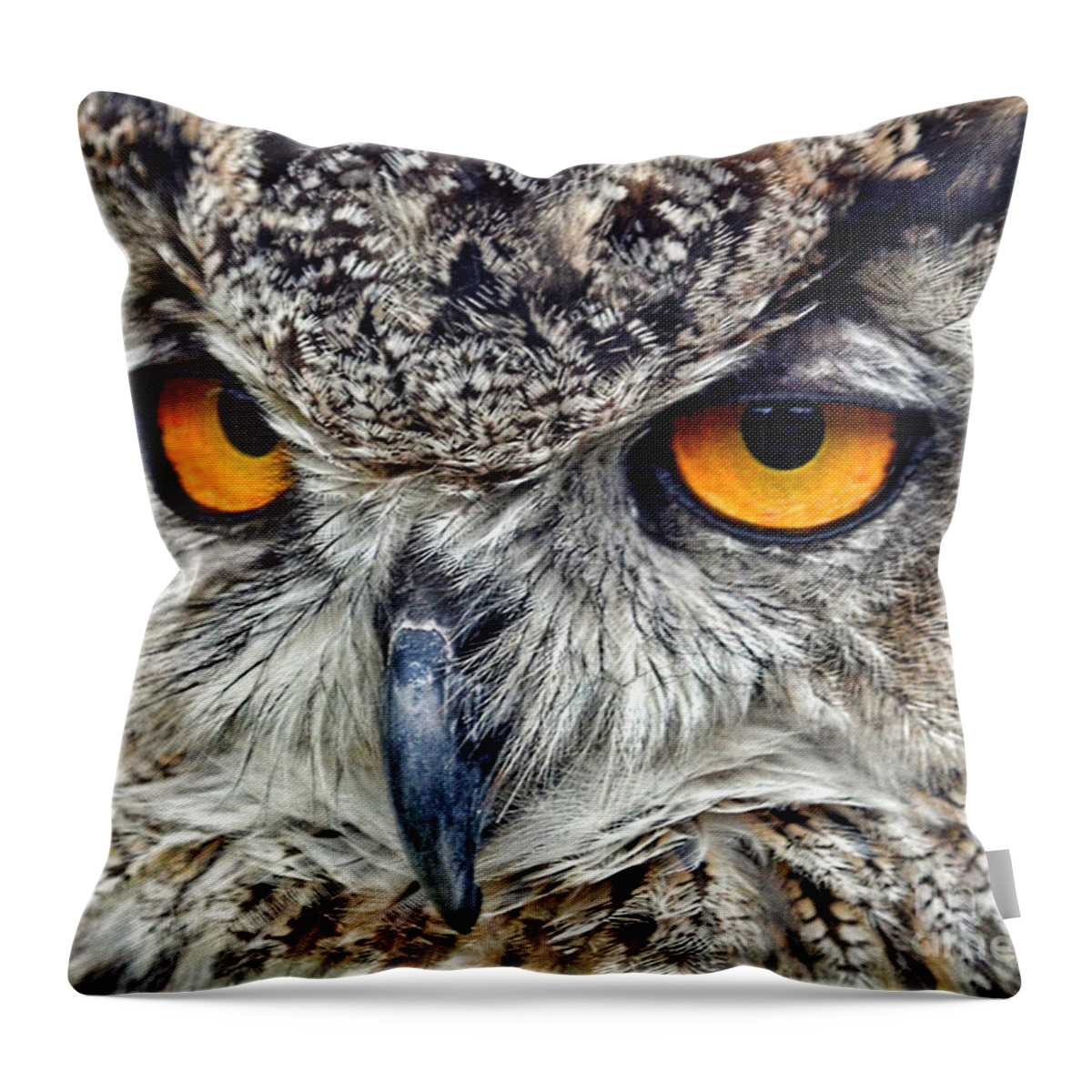 Jim Fitzpatrick Throw Pillow featuring the photograph Great Horned Owl Closeup by Jim Fitzpatrick