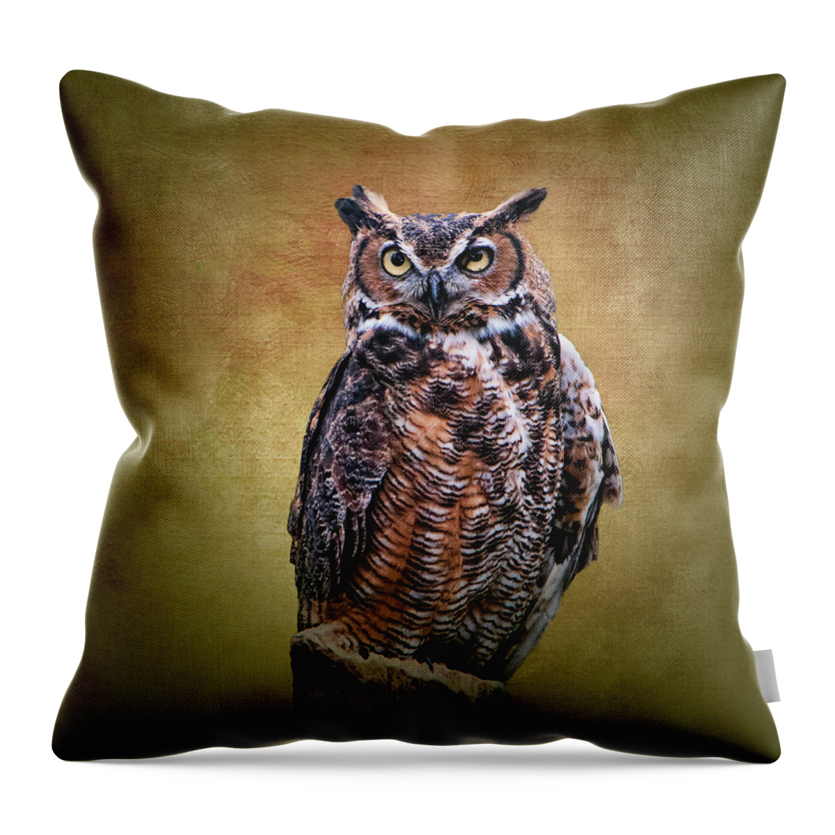 Great Horned Owl No 2 Throw Pillow featuring the photograph Great Horned Owl No 2 by Phyllis Taylor