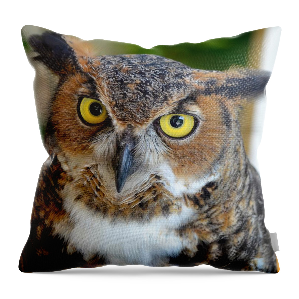 Owl Throw Pillow featuring the photograph Great Horned Owl by Richard Bryce and Family