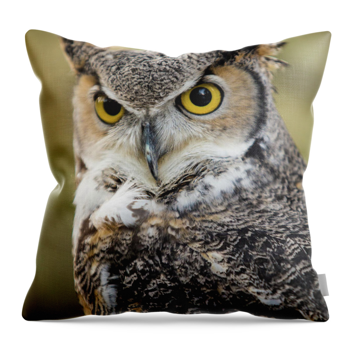 Owl Throw Pillow featuring the photograph Great Horned Owl by Wesley Aston