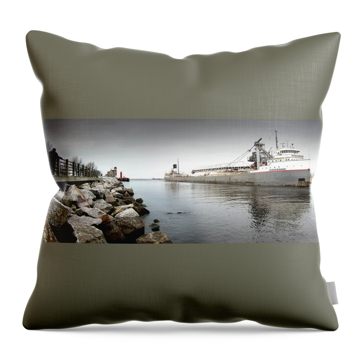 Photography Throw Pillow featuring the photograph Great Lakes Freighter Missisaga by Frederic A Reinecke