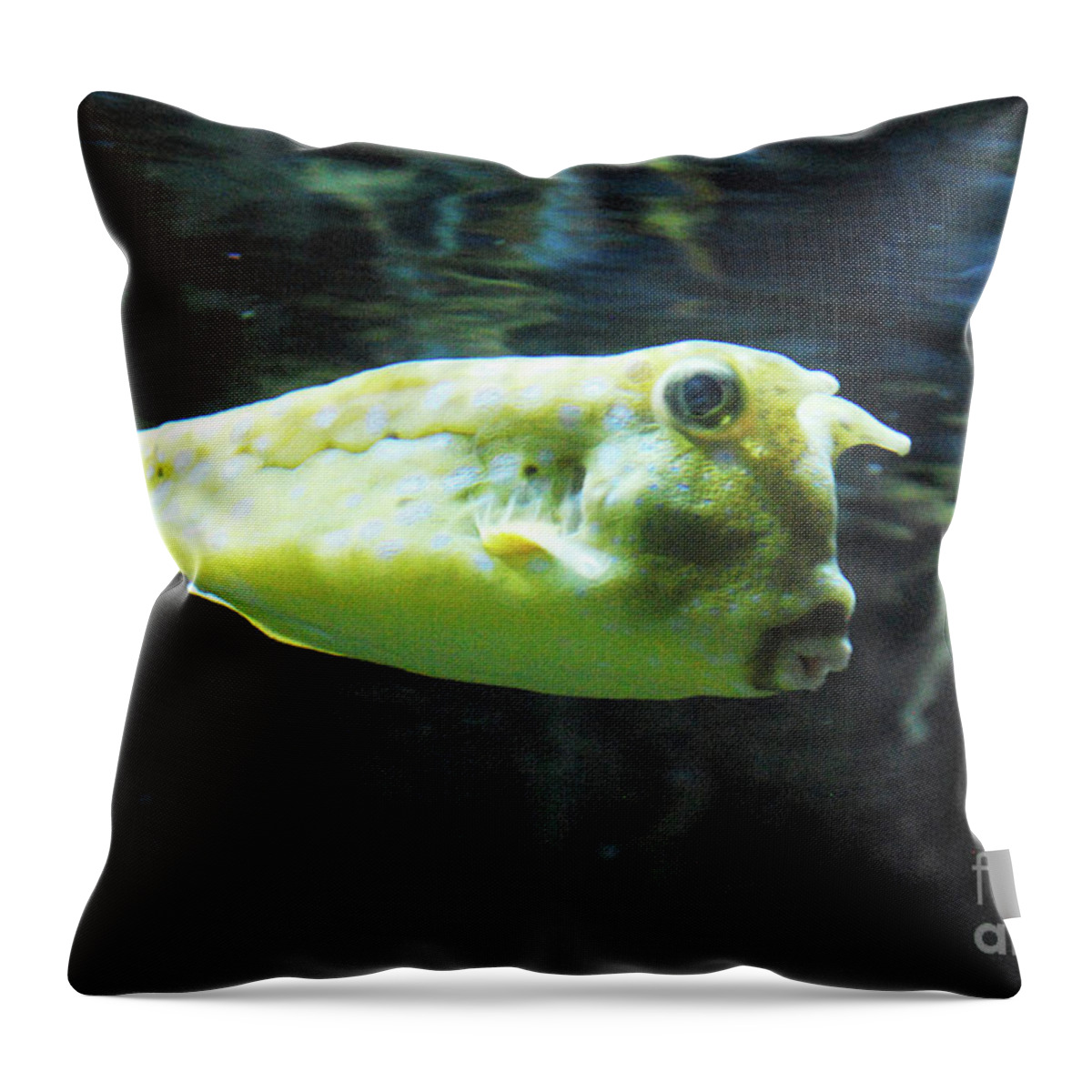 Longhorn-cowfish Throw Pillow featuring the photograph Great Longhorn Cowfish Swimming Along Underwater by DejaVu Designs