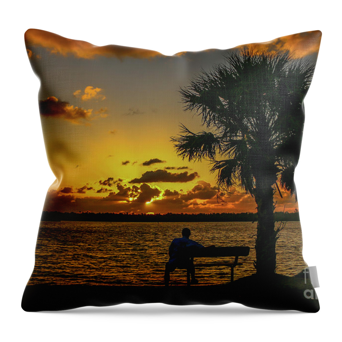 Sun Throw Pillow featuring the photograph Great Pocket Sunrise by Tom Claud