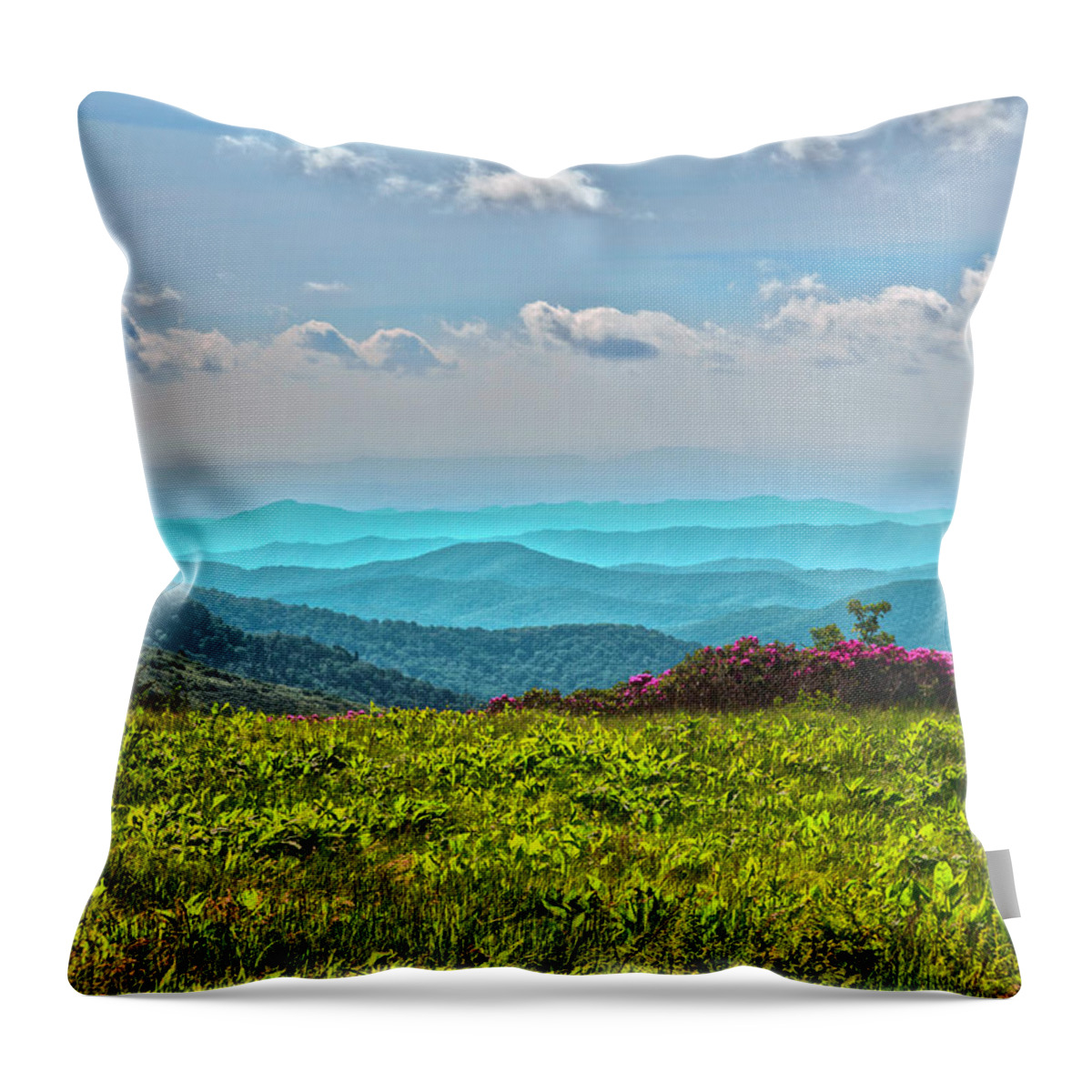 Blue Ridge Mountains Throw Pillow featuring the photograph Great Smoky Mountain Afternoon by Kevin Senter
