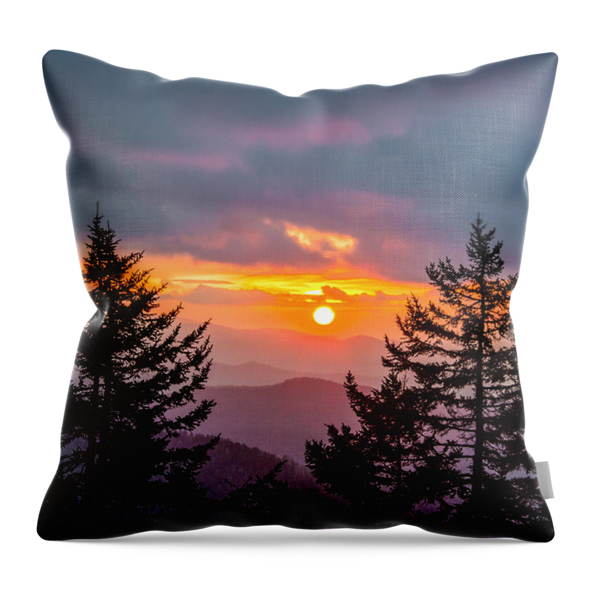 Landscape Throw Pillow featuring the photograph Great Smoky Mountains National Park NC Between The Firs by Robert Stephens