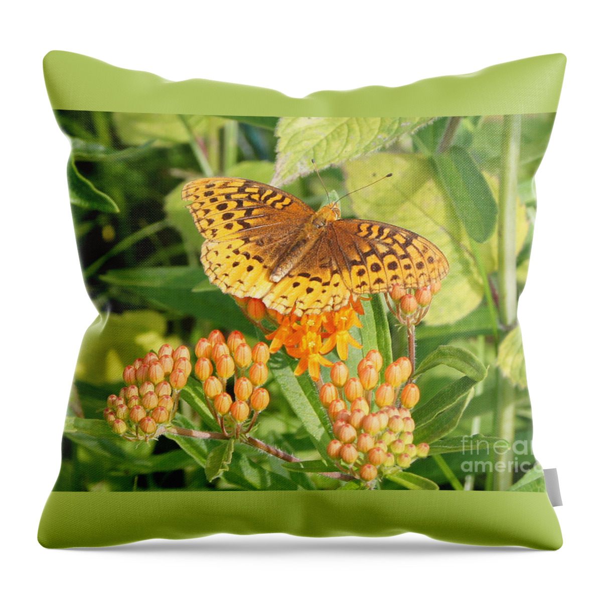 Butterfly Throw Pillow featuring the photograph Great Spangled Fritillary on Butterfly Weed by Robert E Alter Reflections of Infinity